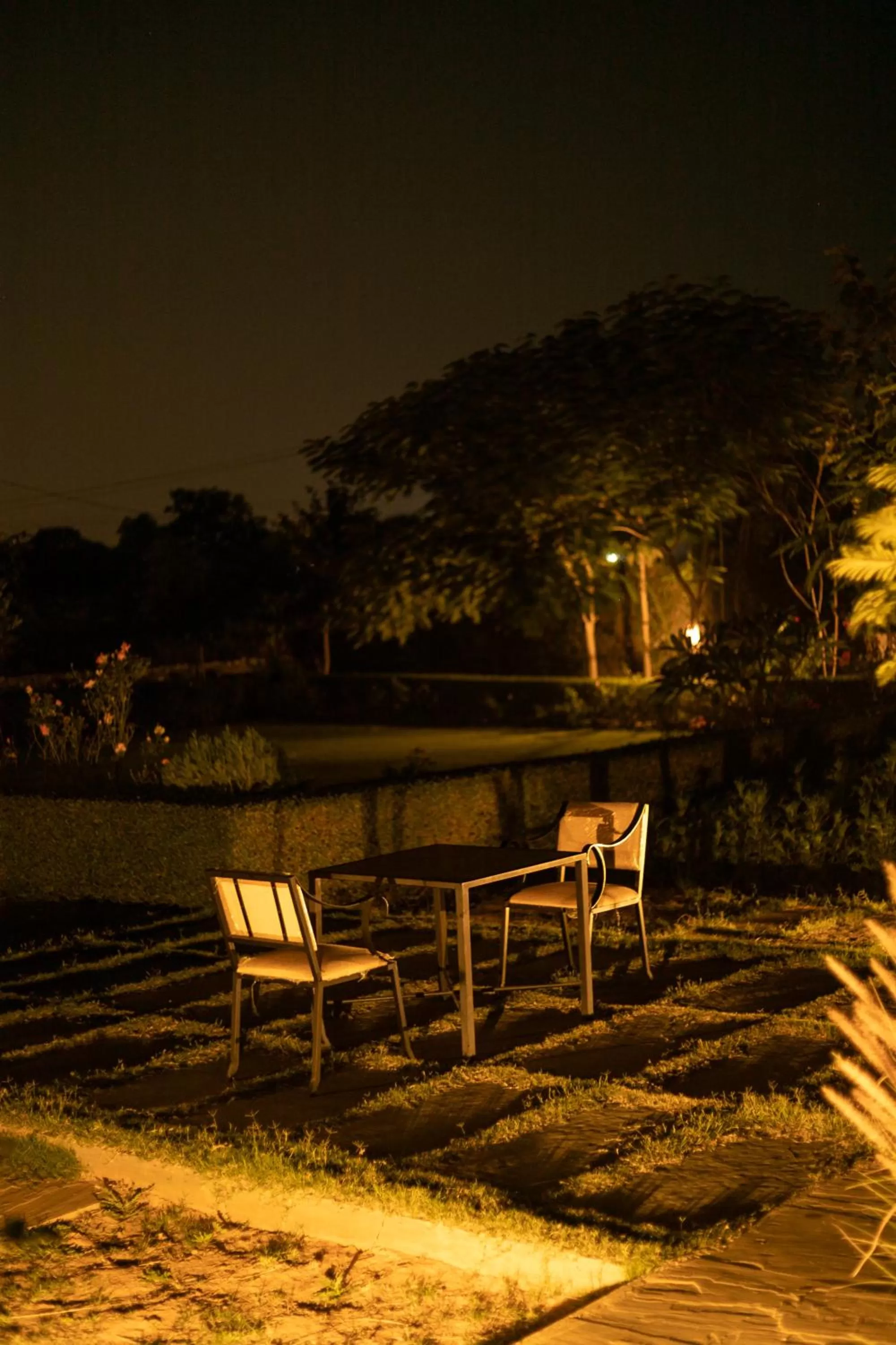 Area and facilities in Madho Bagh