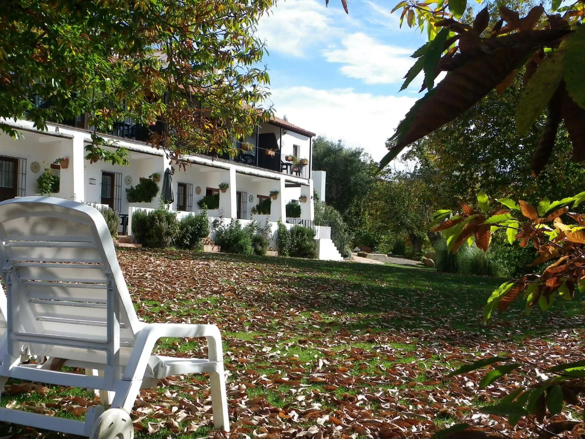 Patio in Hotel Apartamento Rural Finca La Media Legua