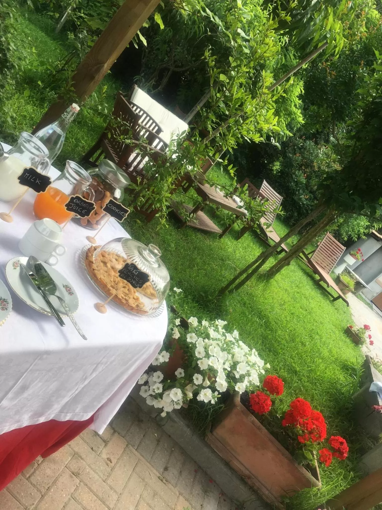 Rossella alla Villarella dei Tulipani