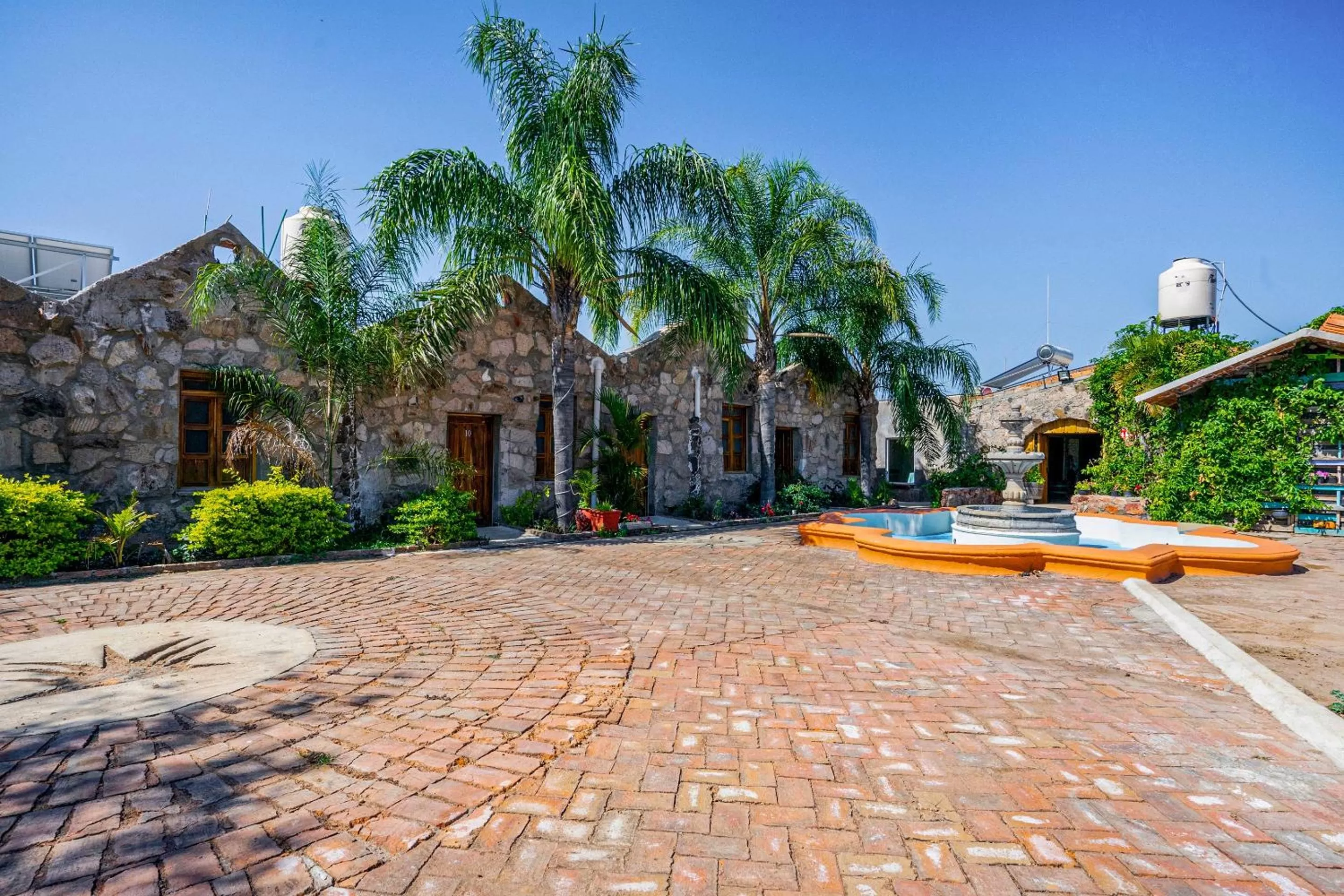 Garden in Collection O Hotel Monte Agave