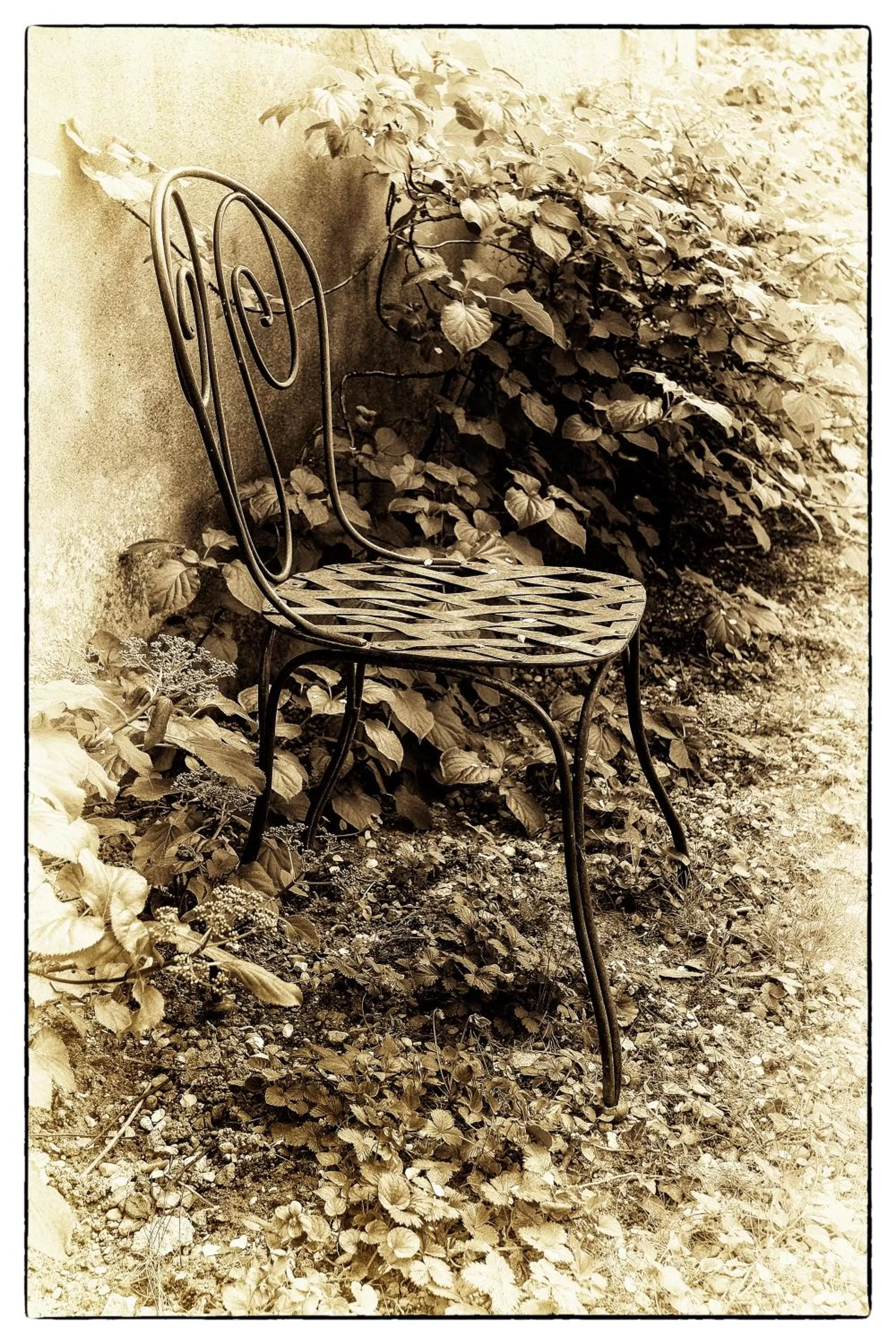 Garden in Hotel Le Clos Raymi