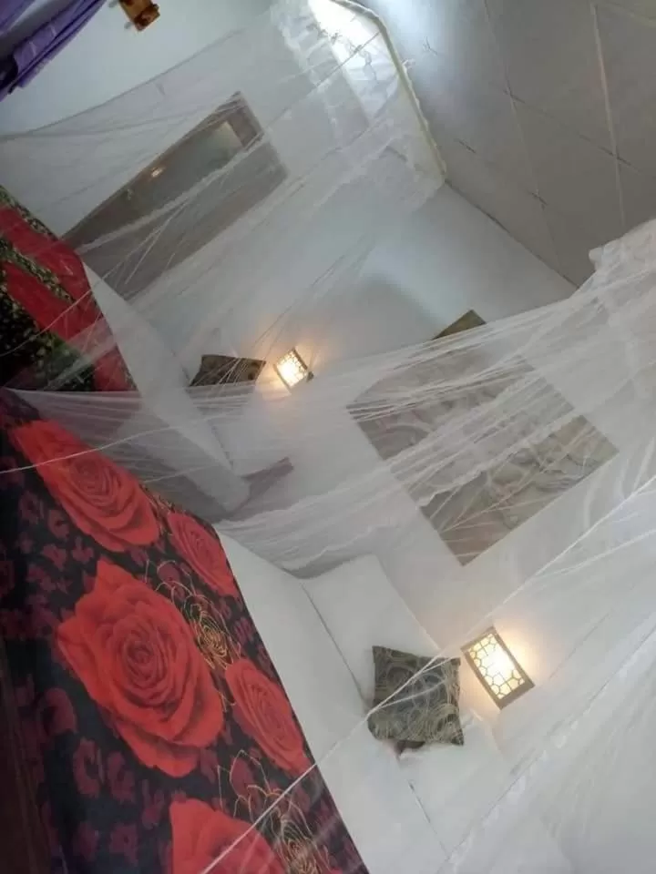 Bed in The Horizon Root Inn