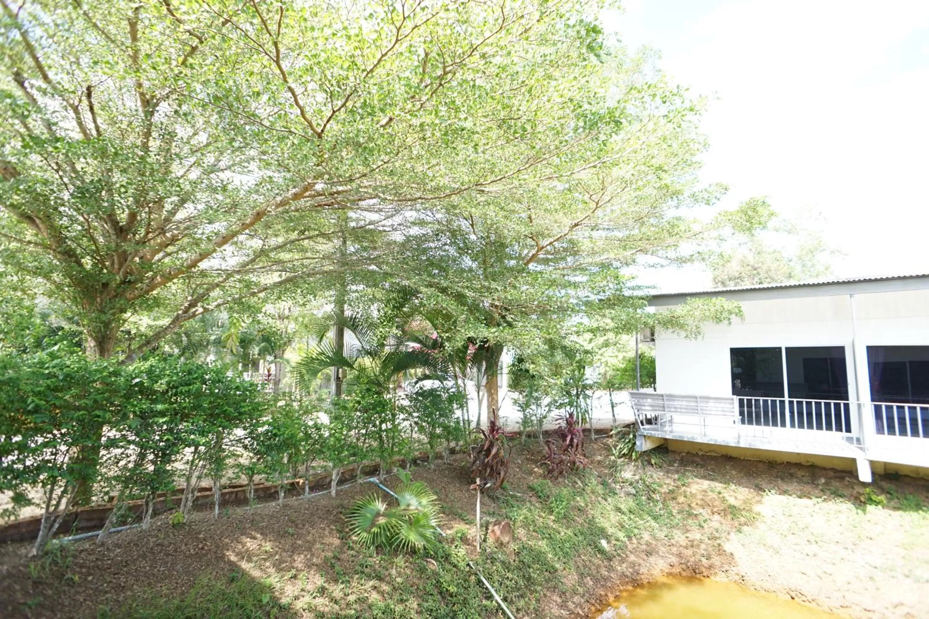 แกรนด์ ฟอเรสท์ Grand Forest