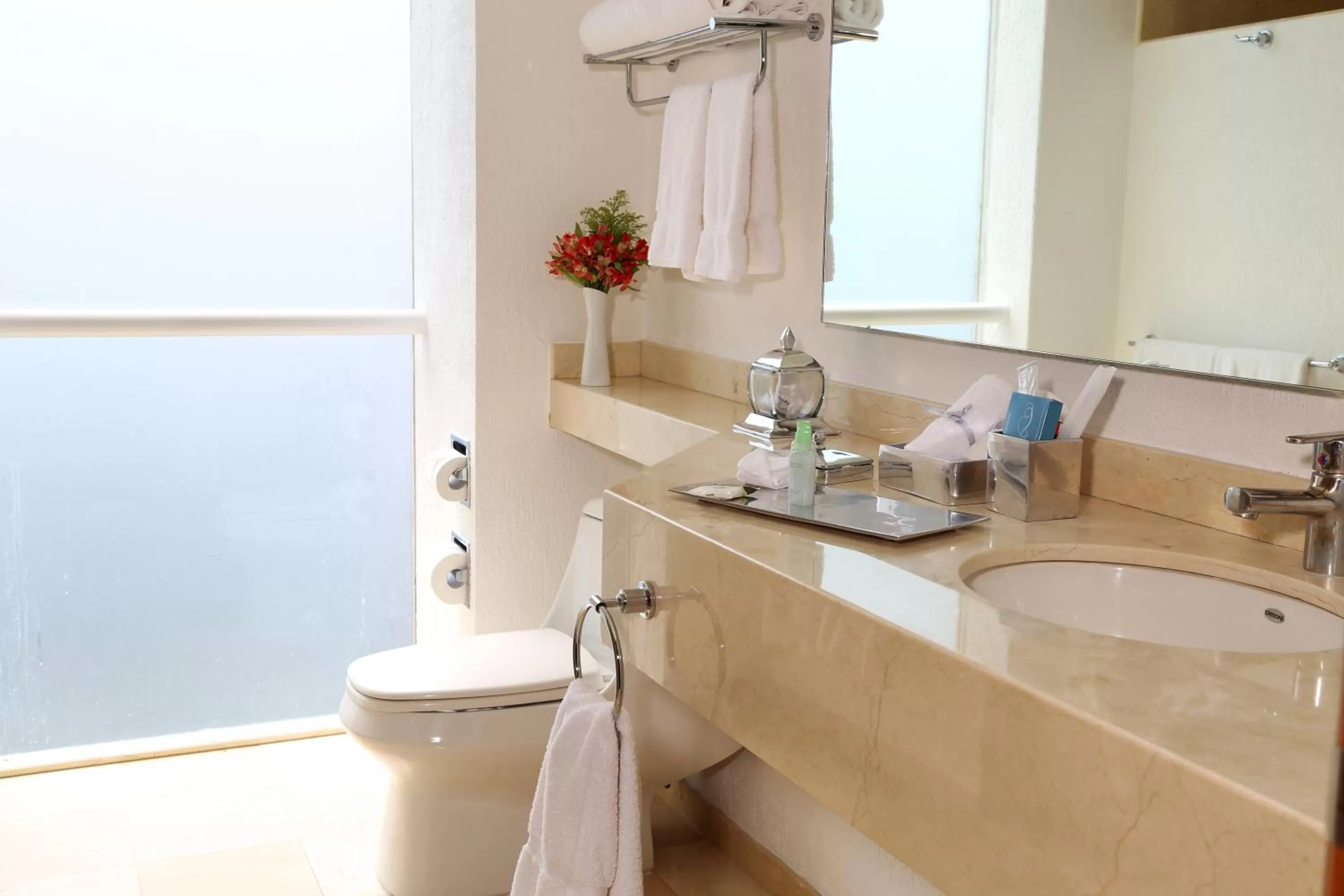 Bathroom in Ejecutivo Express Guadalajara Providencia - Av México