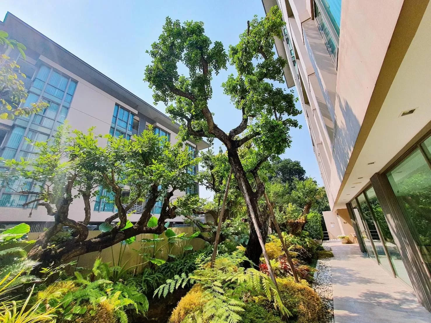 Garden in Ana Park Residence