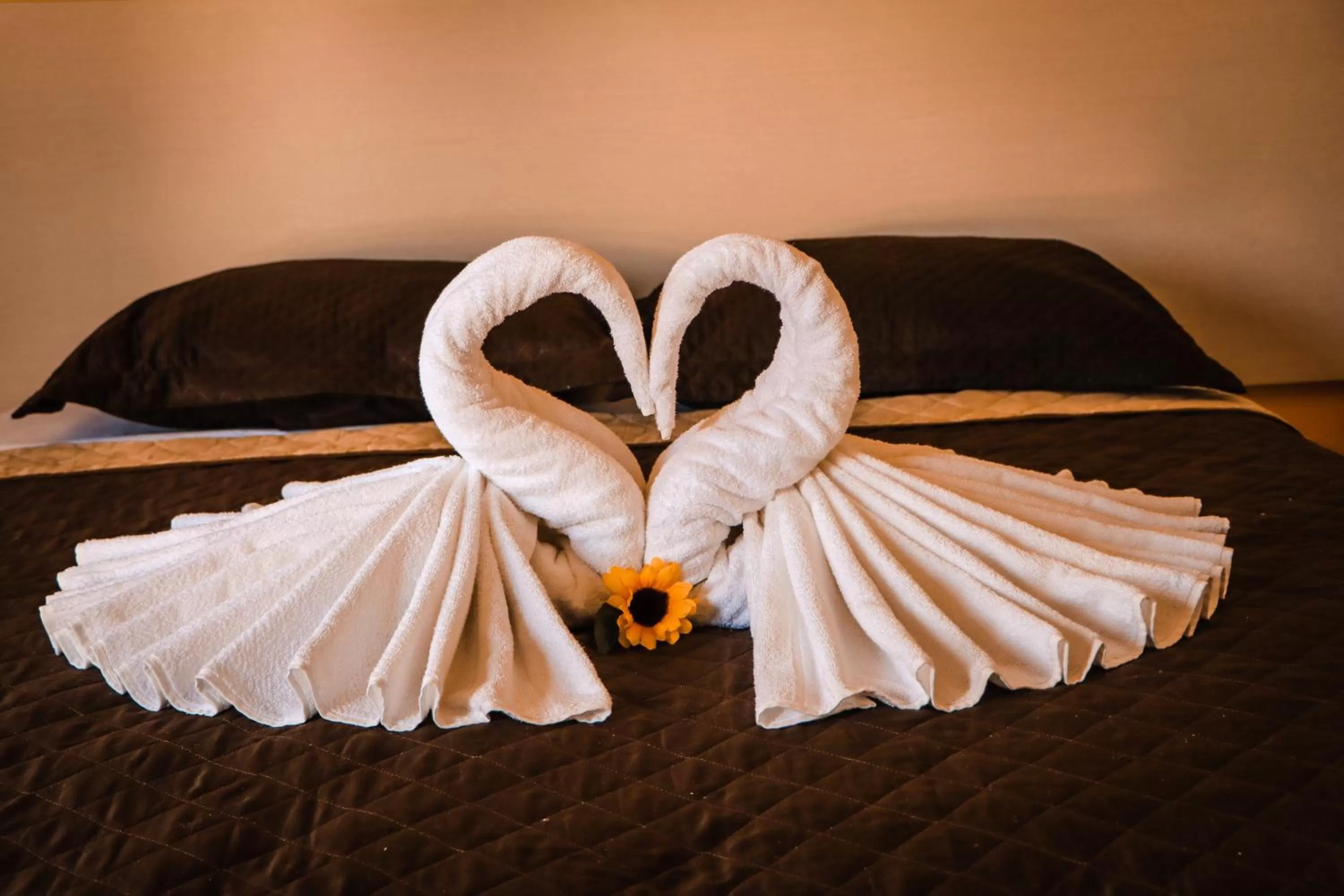 Double Room in Pousada e Chale Porto Paraiso