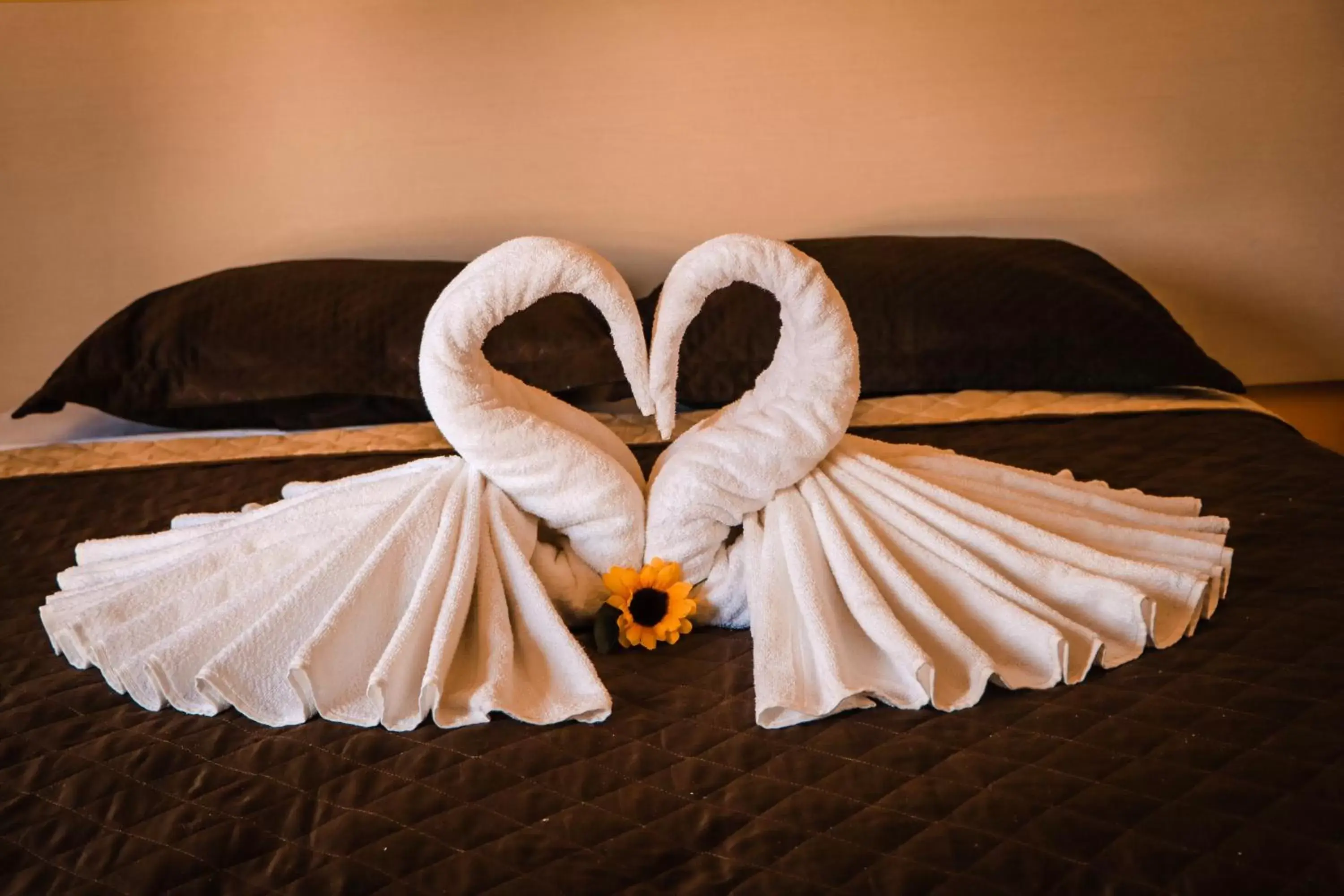 Double Room in Pousada e Chale Porto Paraiso Double Room in Pousada e Chale Porto Paraiso