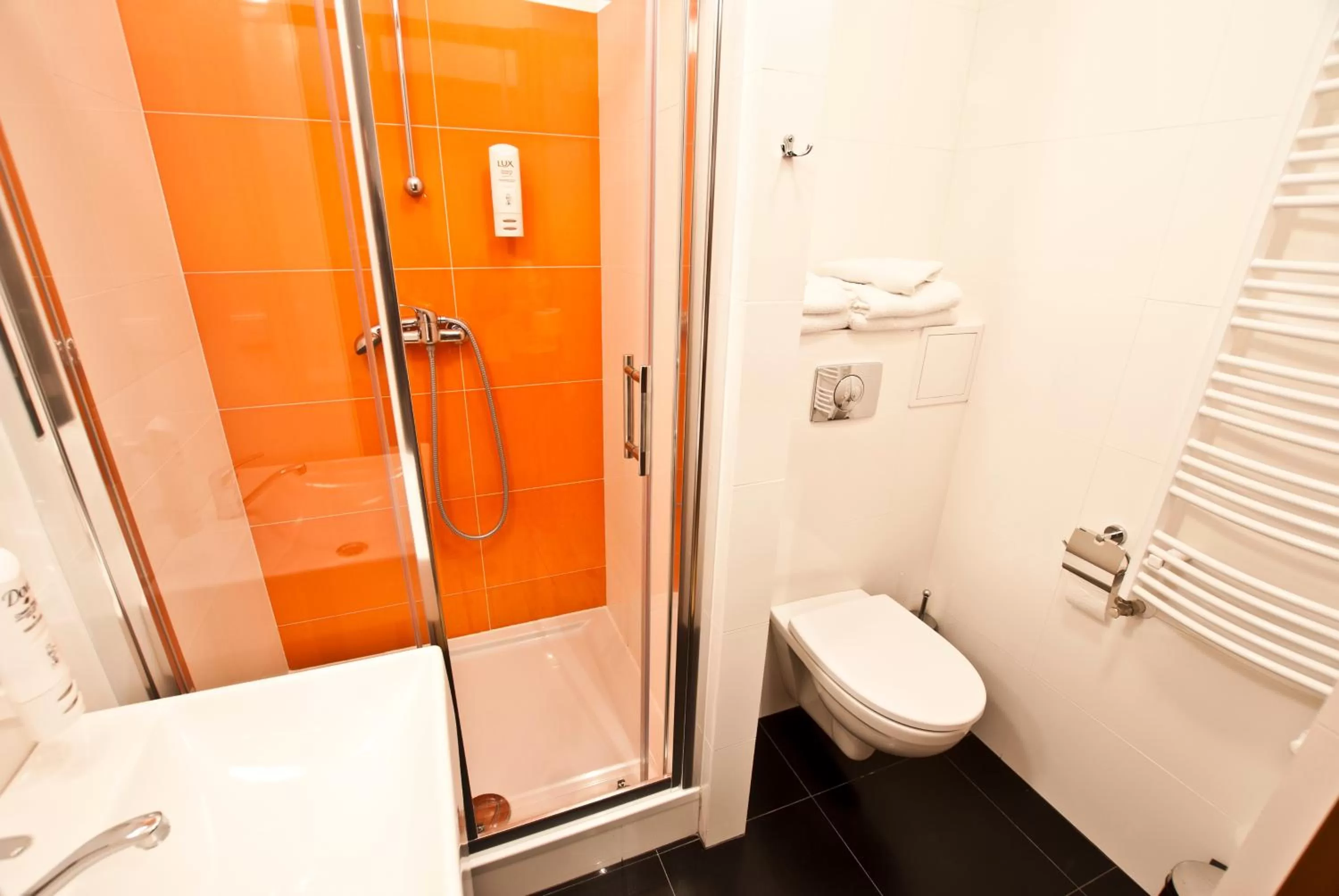 Shower, Bathroom in Dom Pracy Twórczej