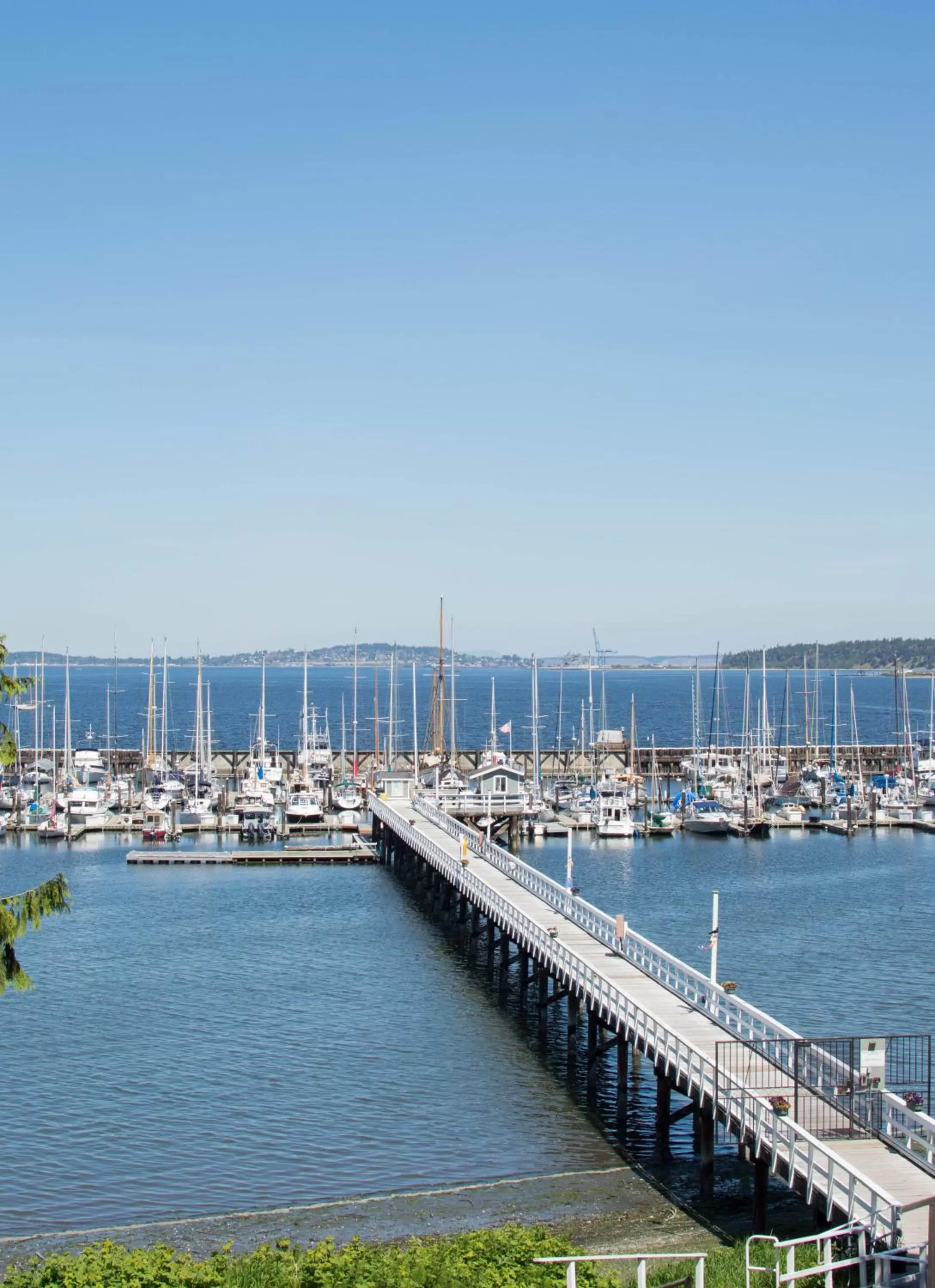 View (from property/room) in Old Alcohol Plant