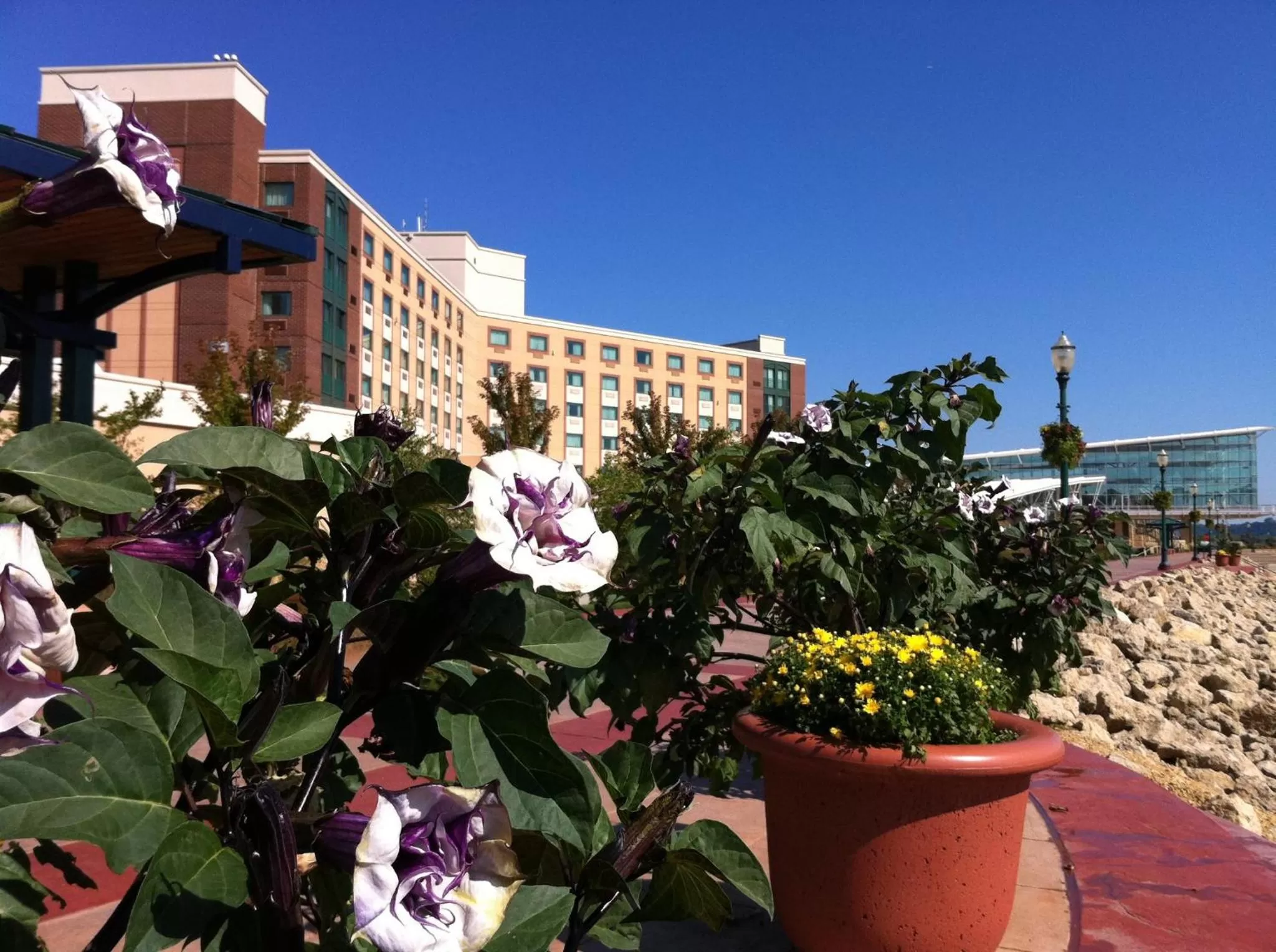 Facade/entrance in Grand Harbor Resort and Waterpark