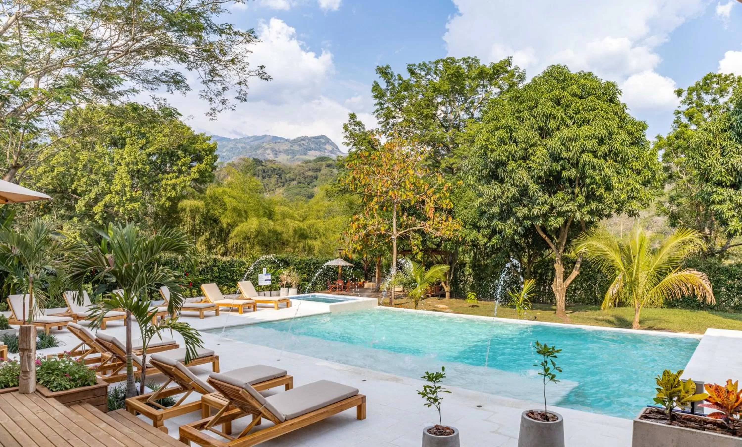 Garden, Swimming Pool in Casa Jacaranda Hotel Boutique