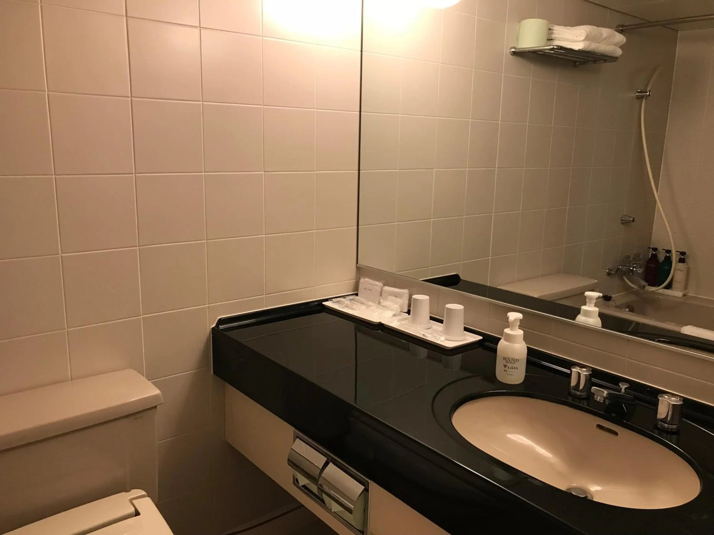 Bathroom in Chisun Hotel Kamata