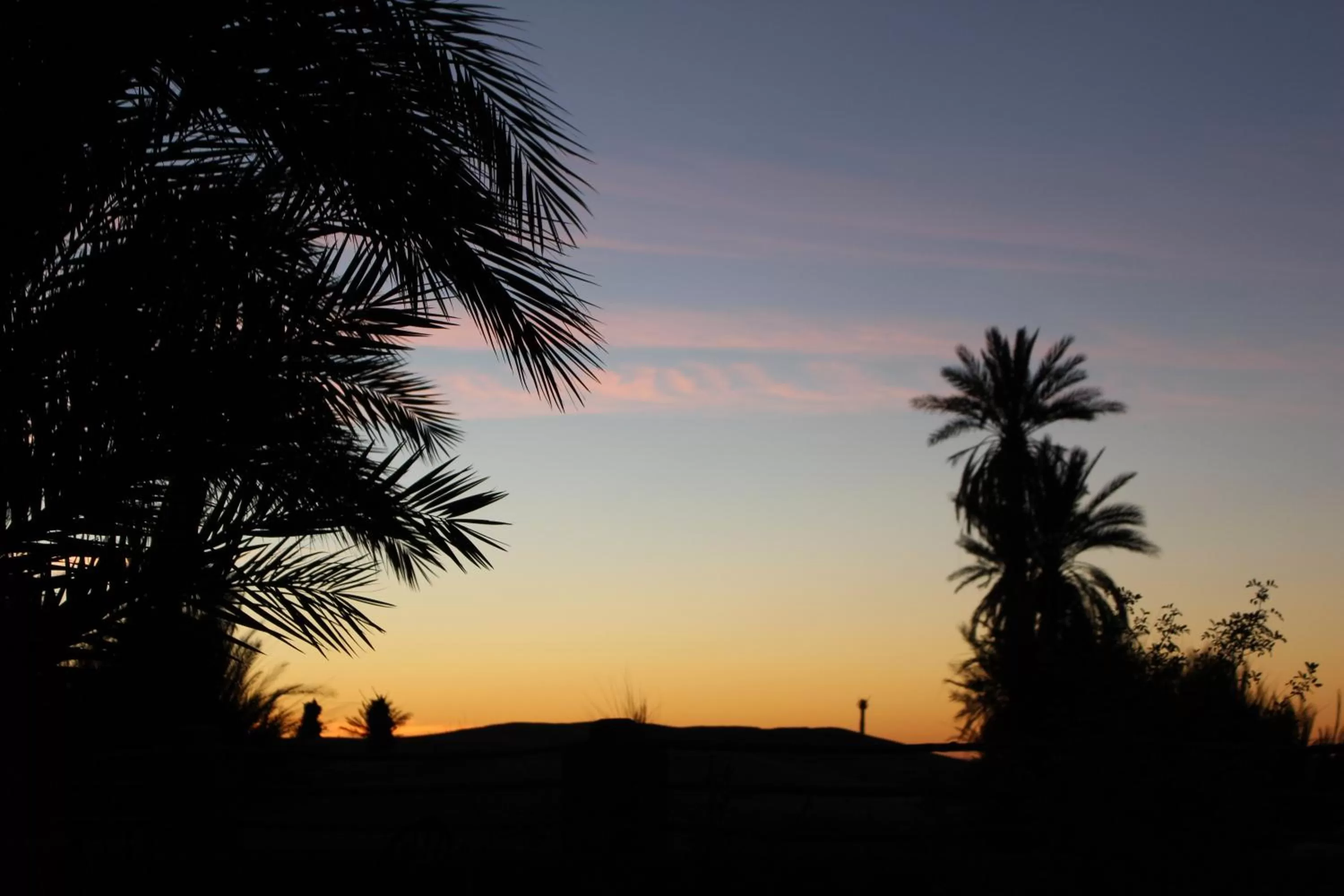 Garden view, Sunrise/Sunset in Dar Paru
