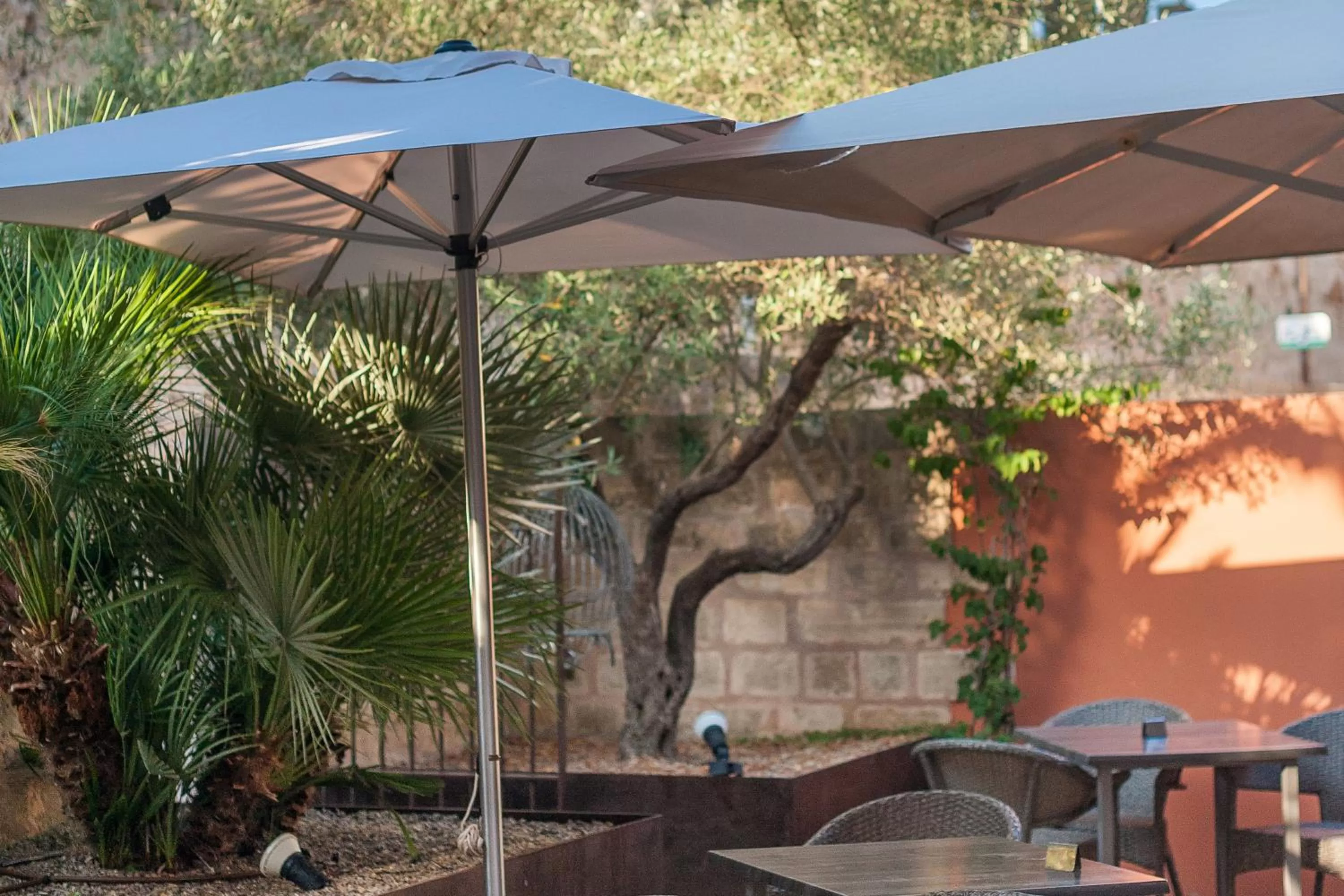 Patio in Alcudia Petit - Turismo de Interior