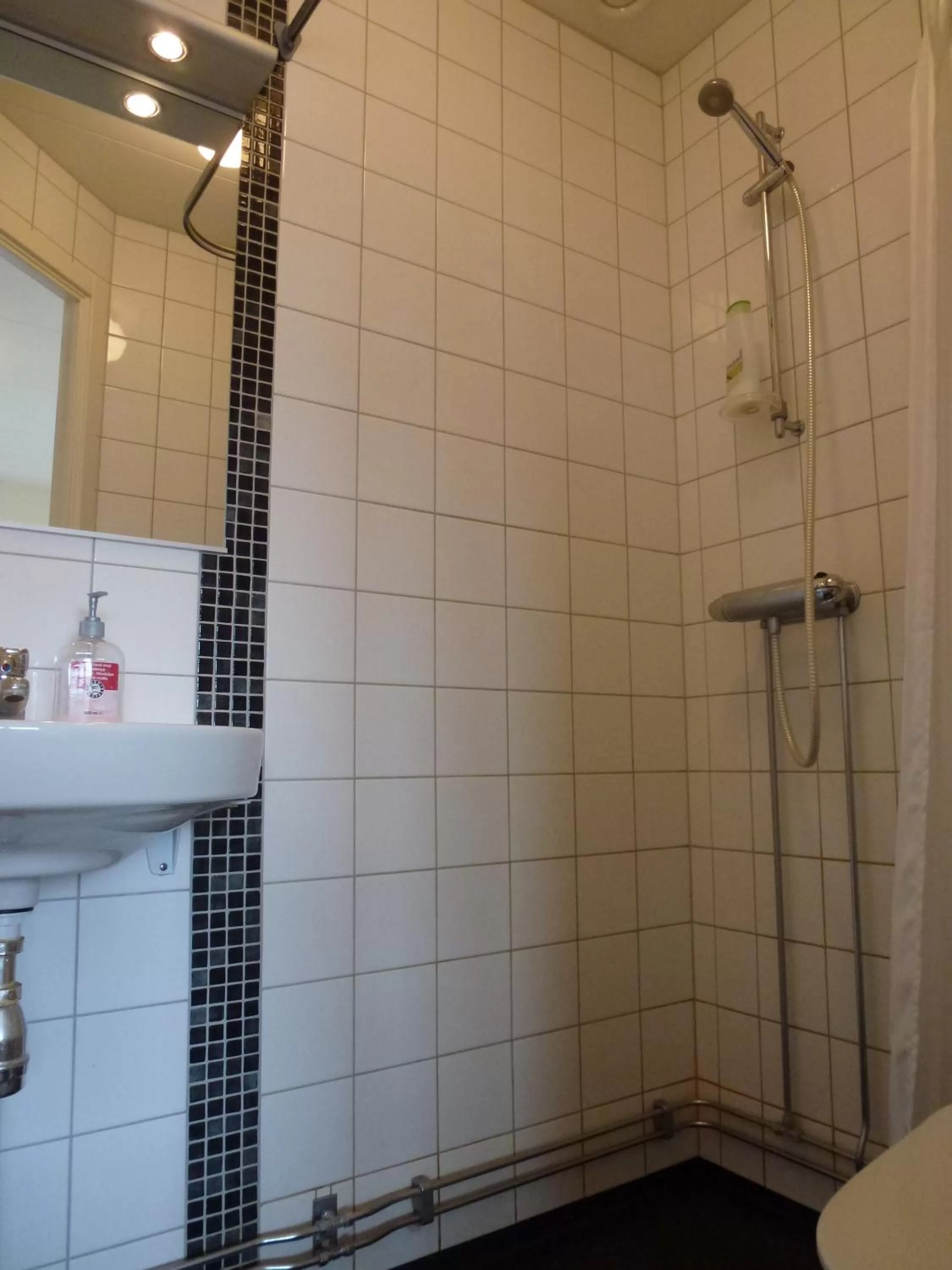 Bathroom in Sven Fredriksson Bed & Breakfast