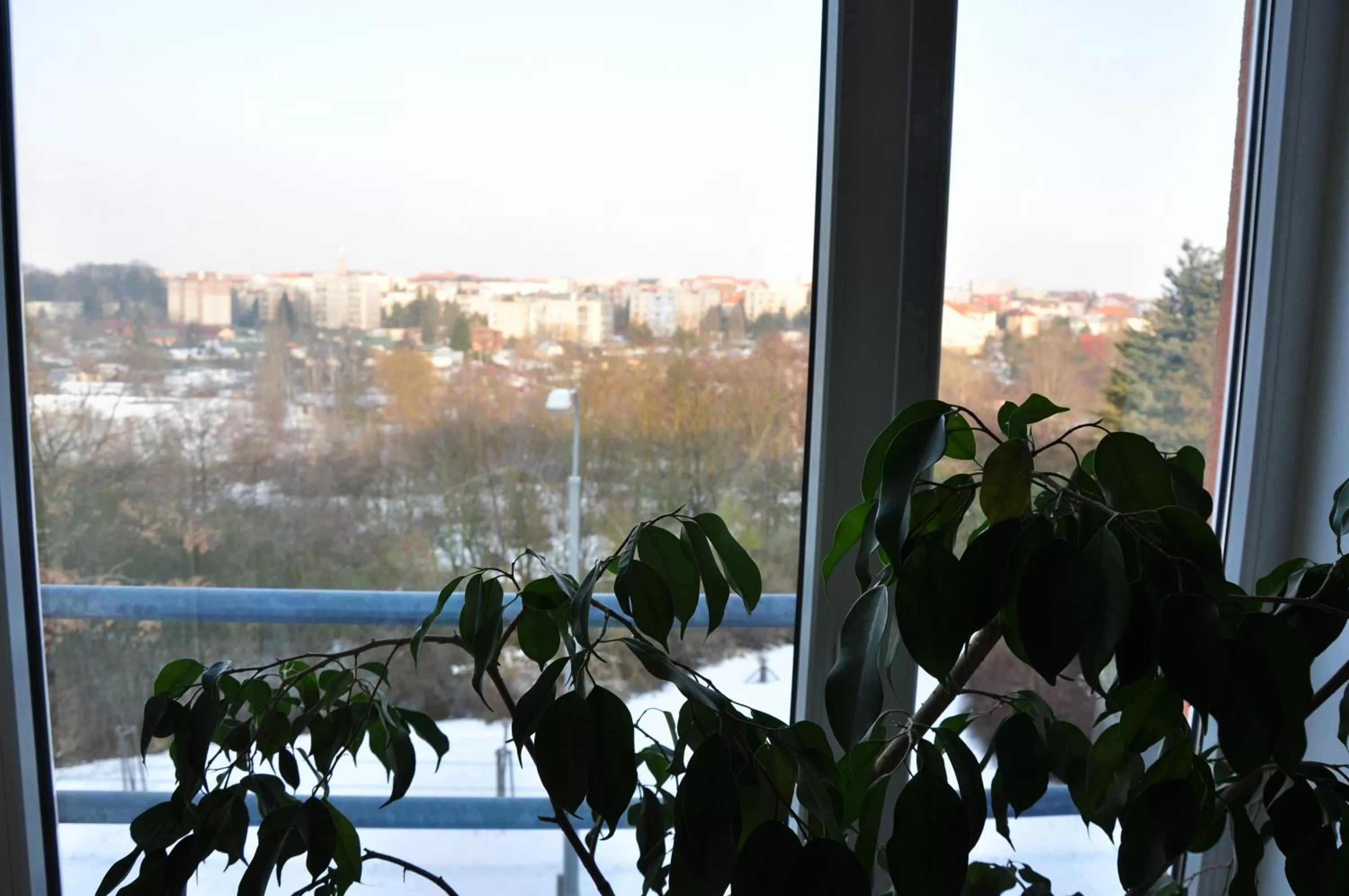 View (from property/room) in Hotel Lions Plzen
