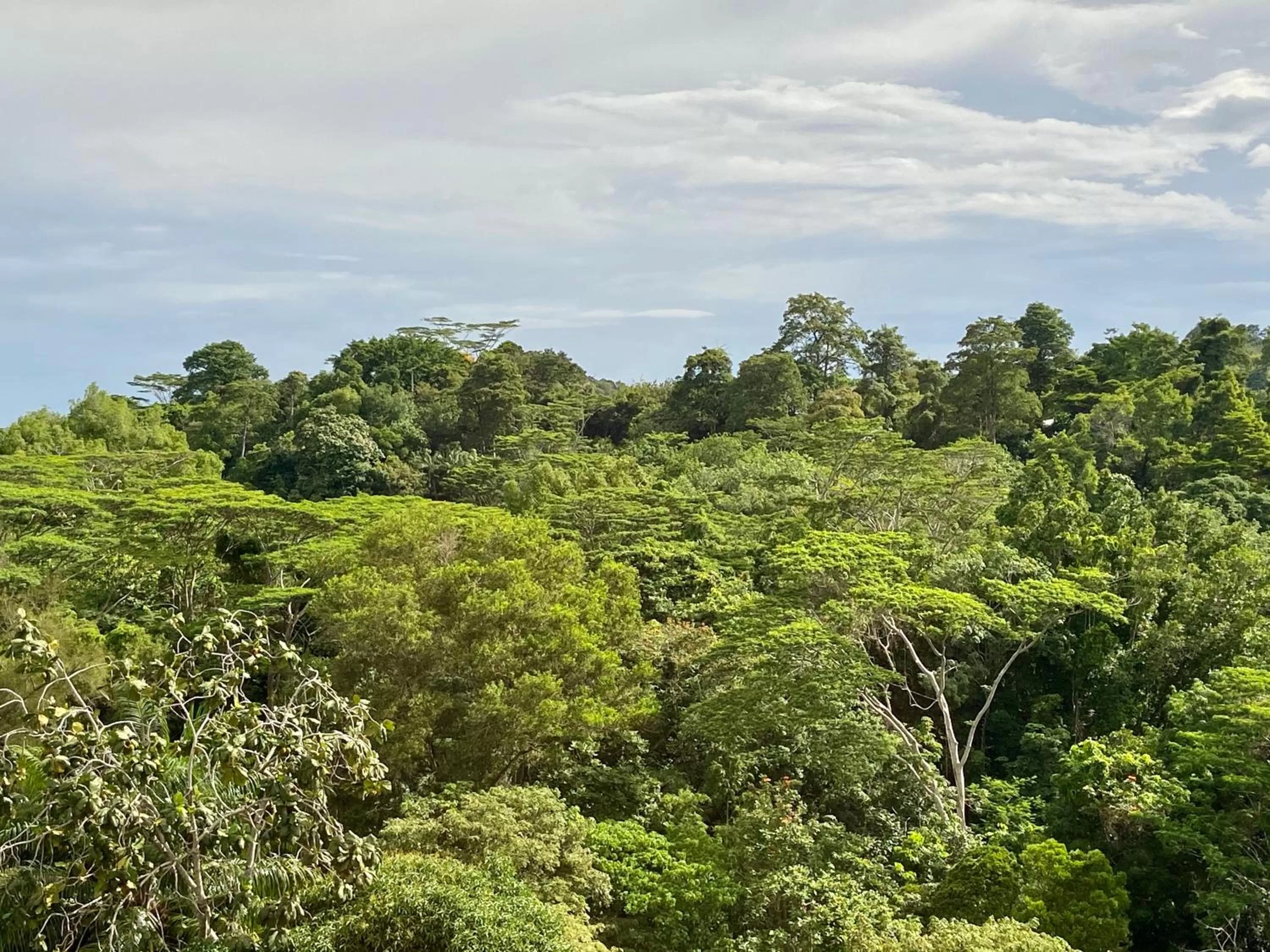 View (from property/room) in Sabah Hotel