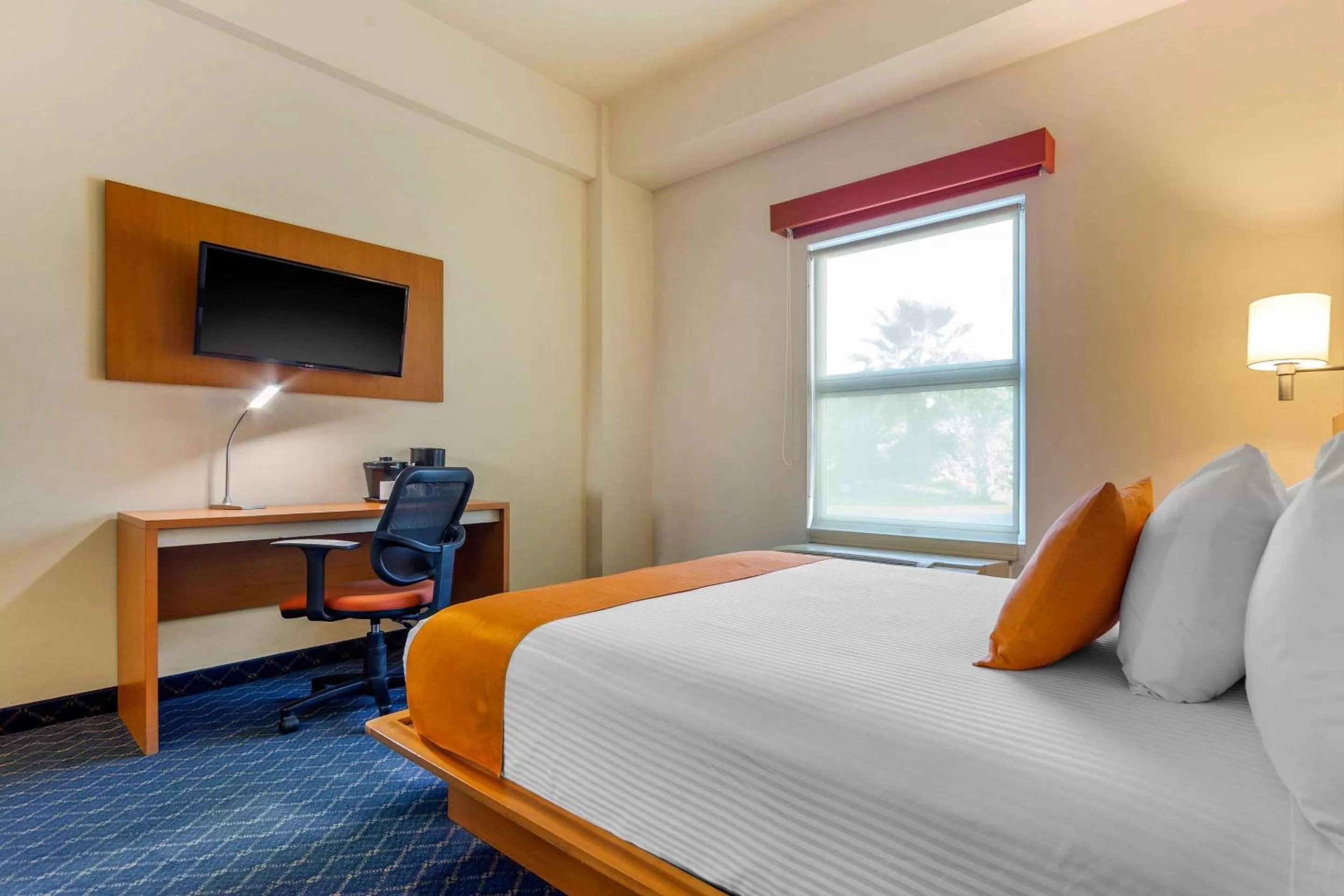 Photo of the whole room, Bed in Sleep Inn Torreon