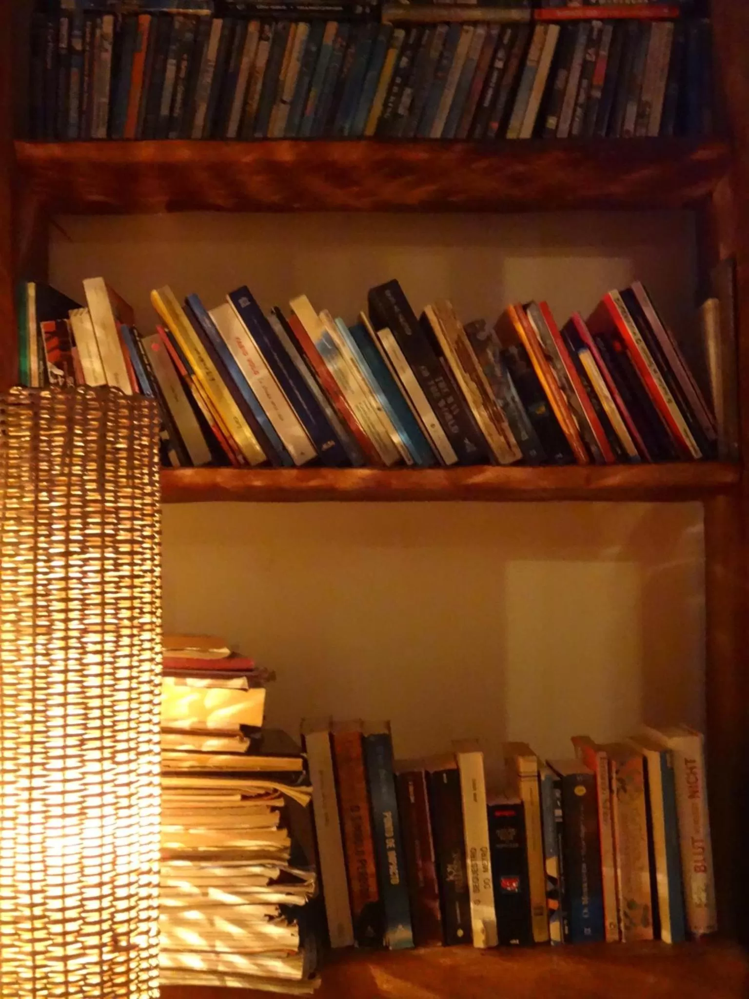 Entertainment, Library in Pousada do Sonho