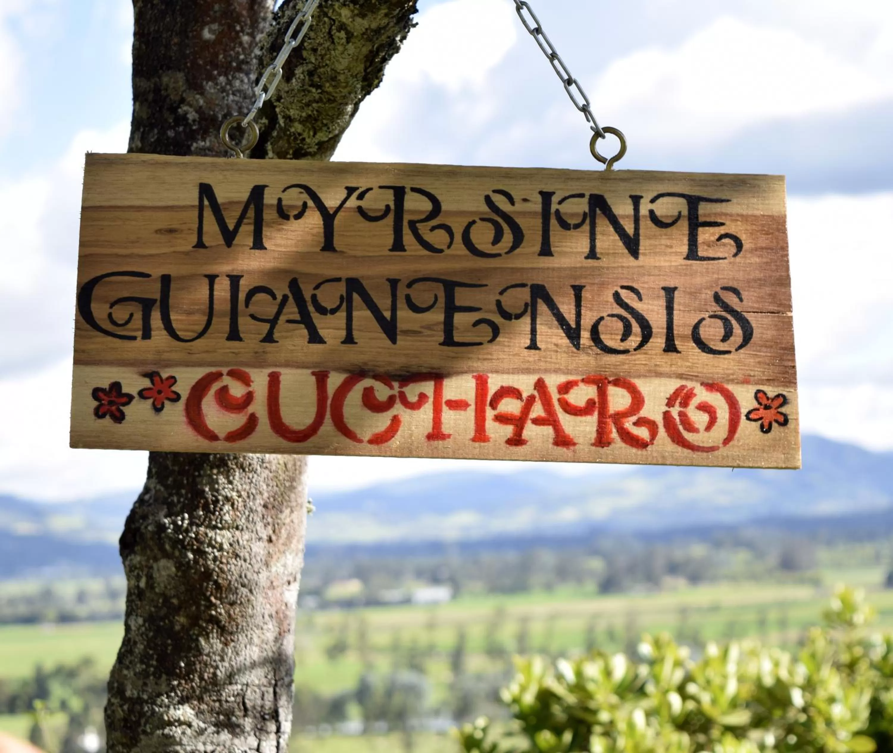 Natural landscape in El Pedregal Sopó