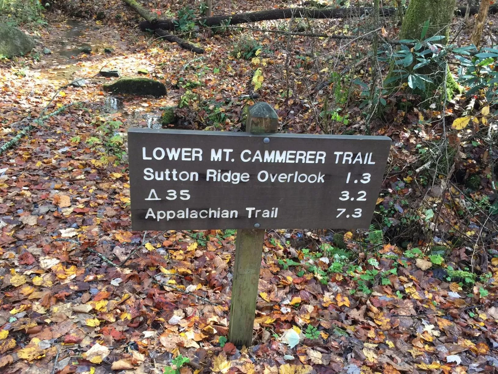 Activities in Creekwalk Inn Bed and Breakfast with Cabins