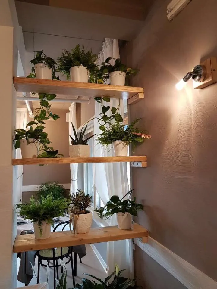 Restaurant/places to eat in Hotel Serena