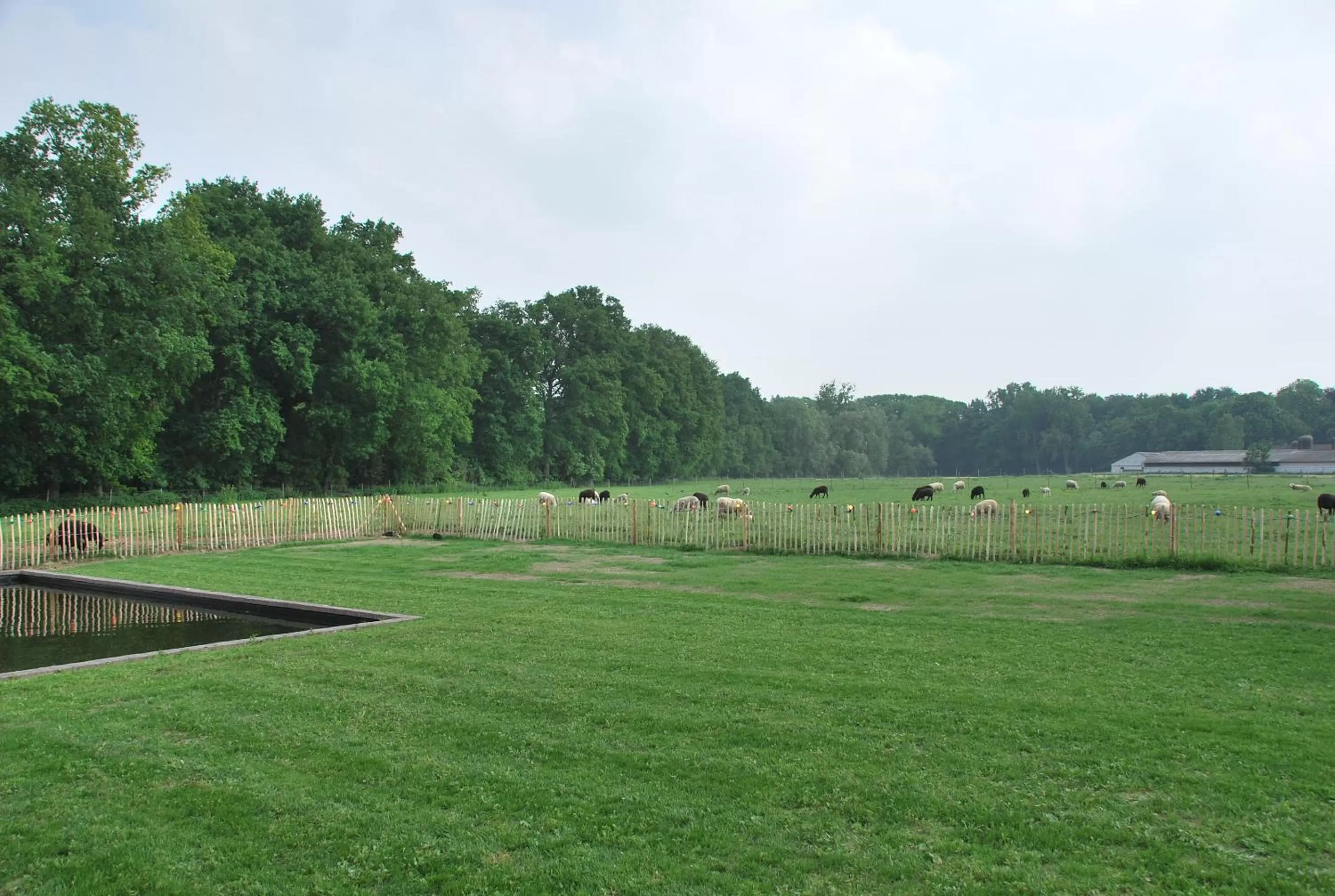 Natural landscape, Garden in B&B De Dulle Koe