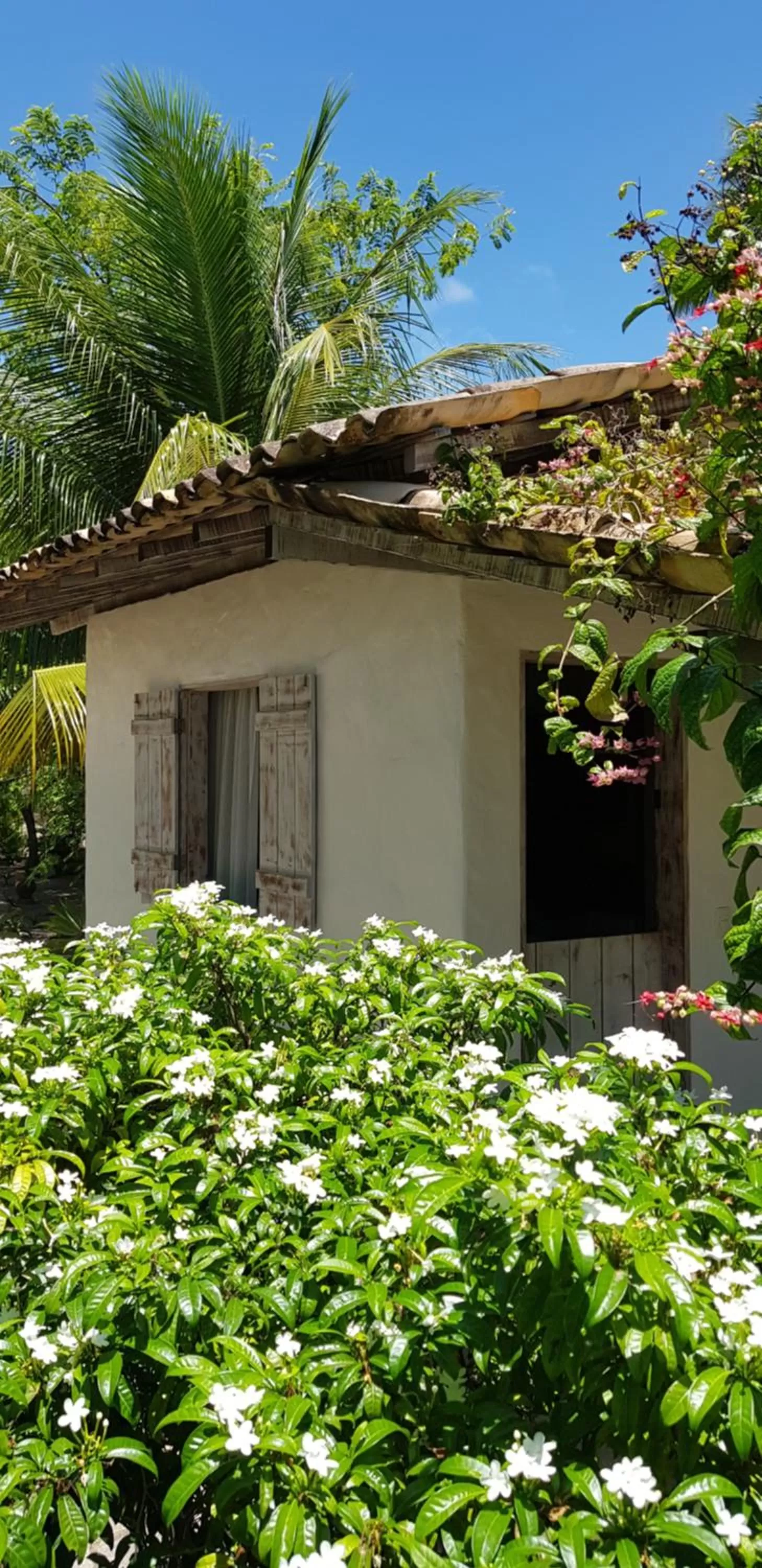 Garden, Property Building in Pousada Villages Boutique Hotel