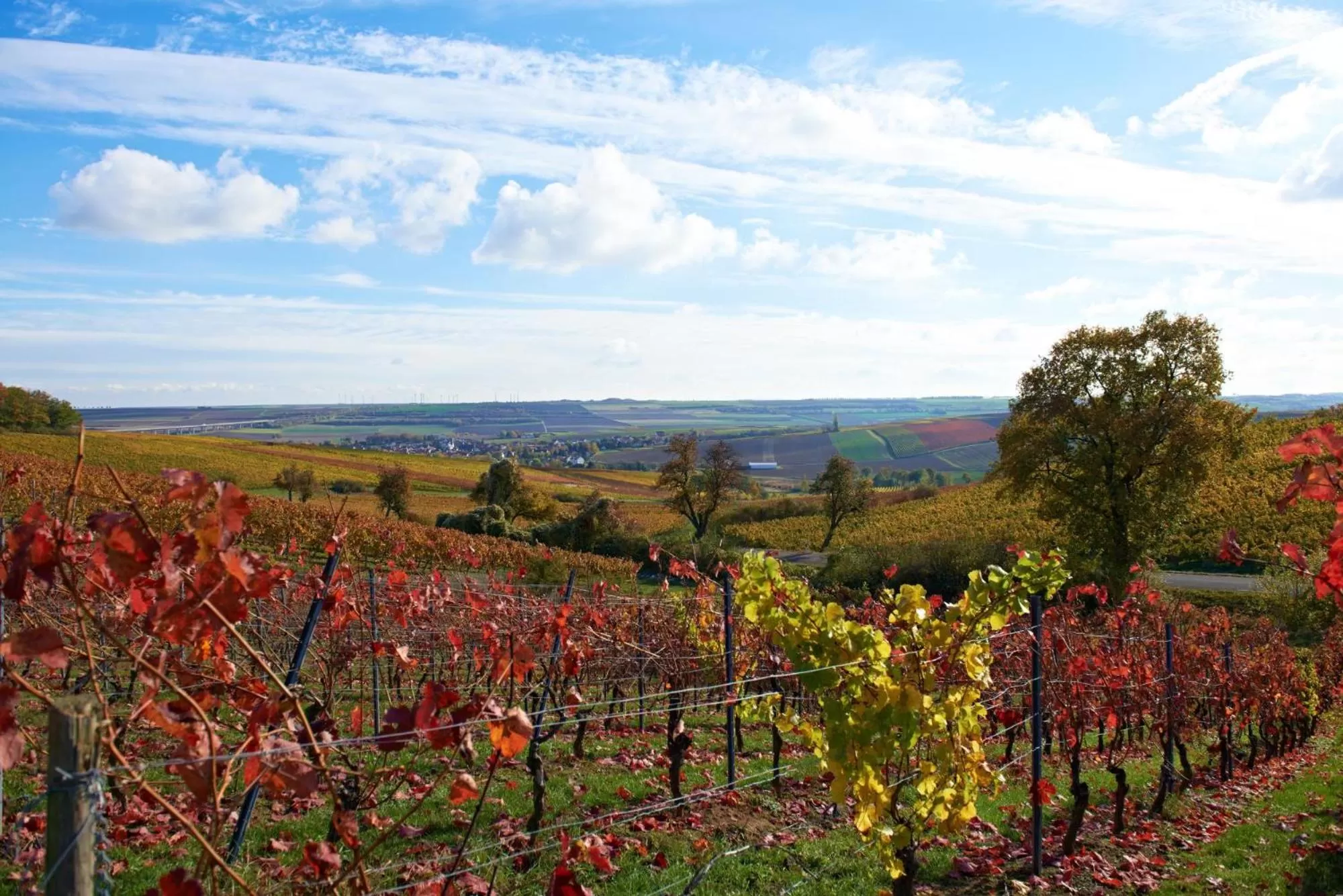 Other in Dorint Hotel Alzey/Worms