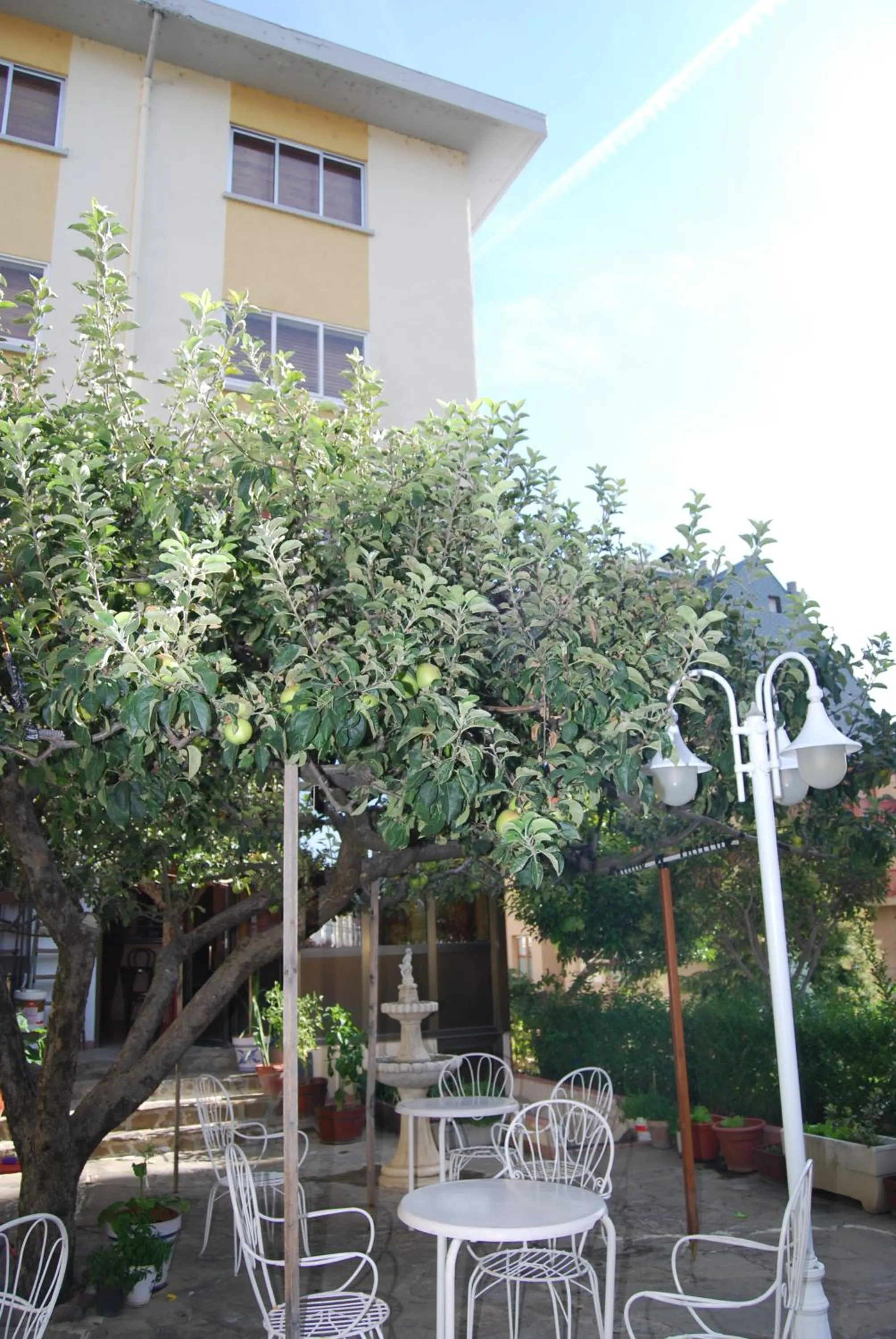 Garden in Hotel A Nieu