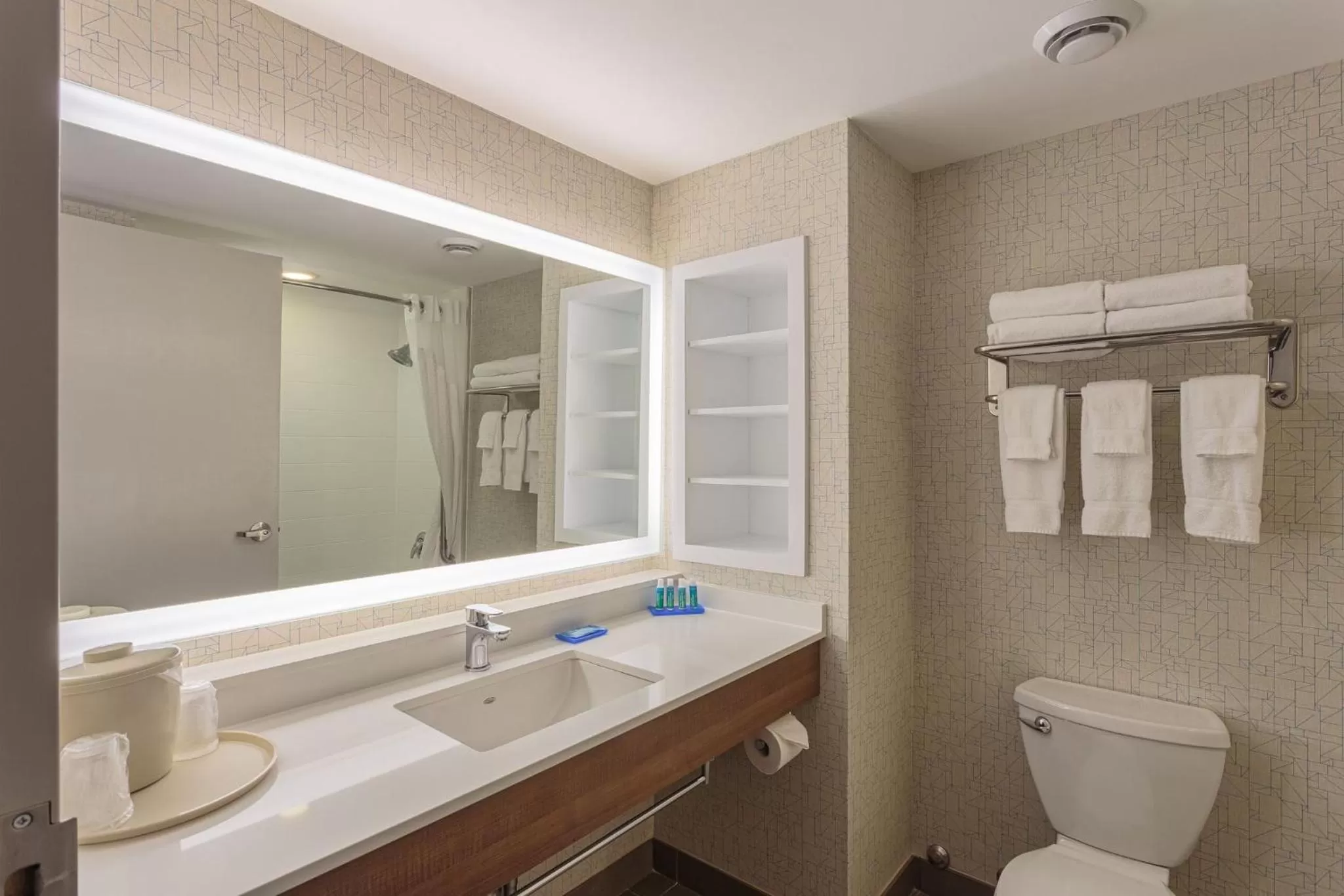 Bathroom in Holiday Inn Express & Suites - Belleville by IHG