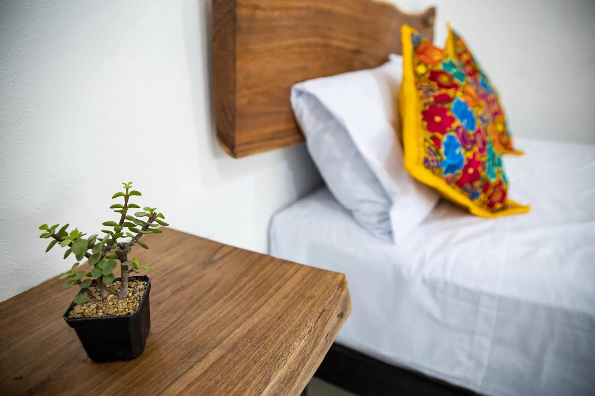 Bed in Hotel & Temazcal Bacalike