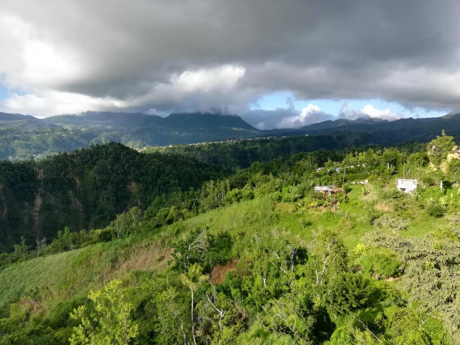 Other in Matthew's Miracle View