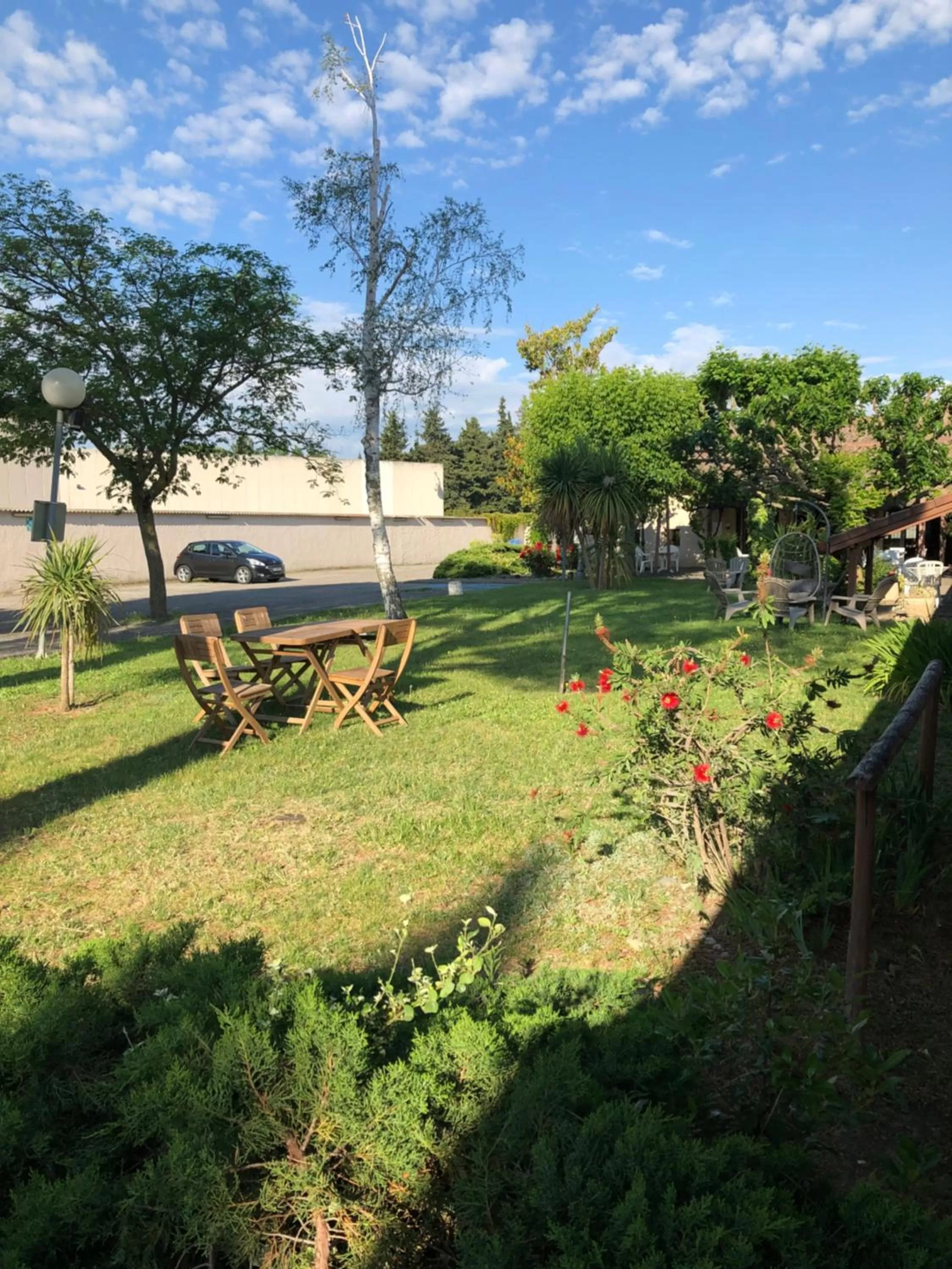 Garden in Hotel Cristol