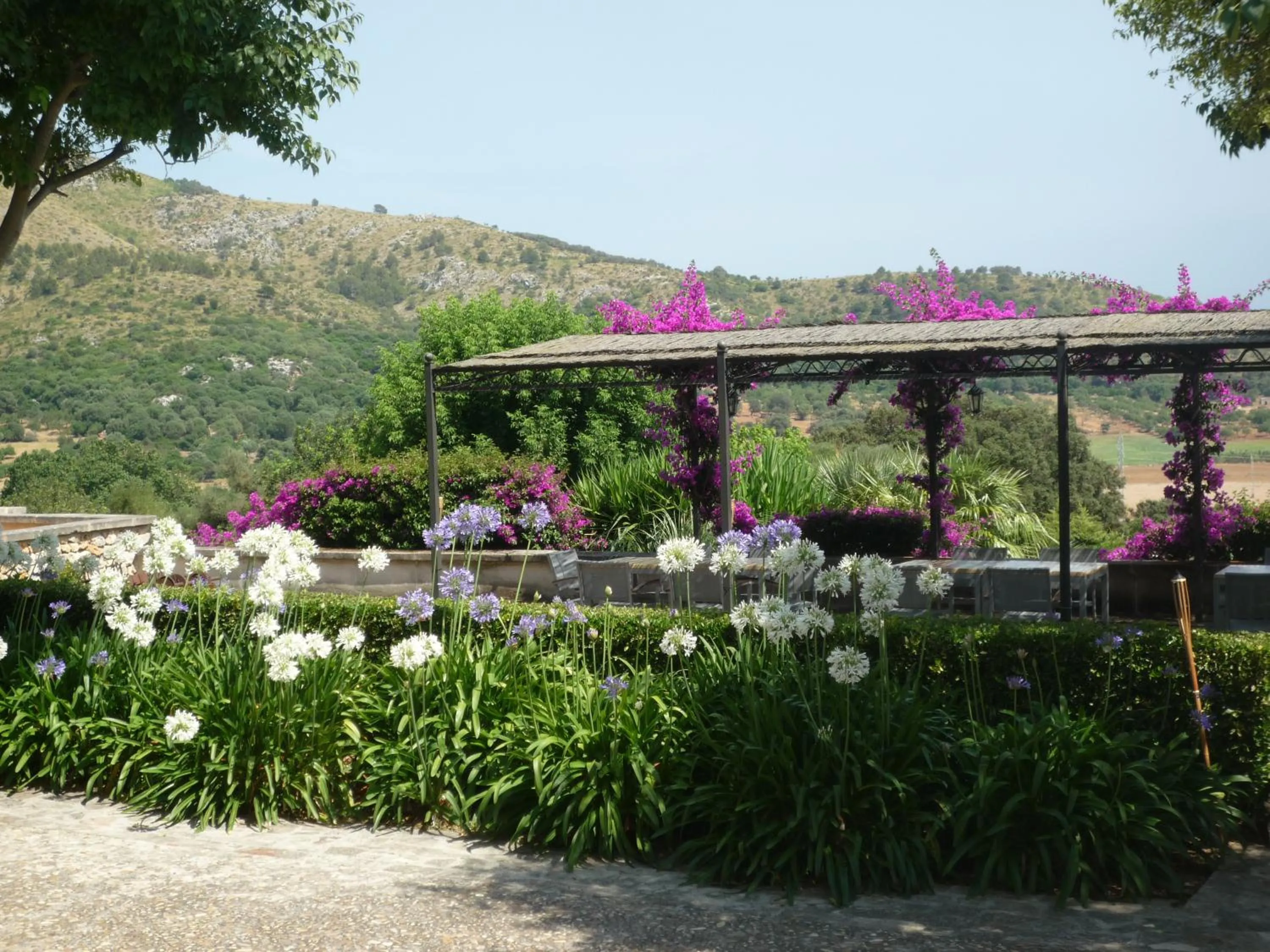 Garden in Agroturismo Son Siurana