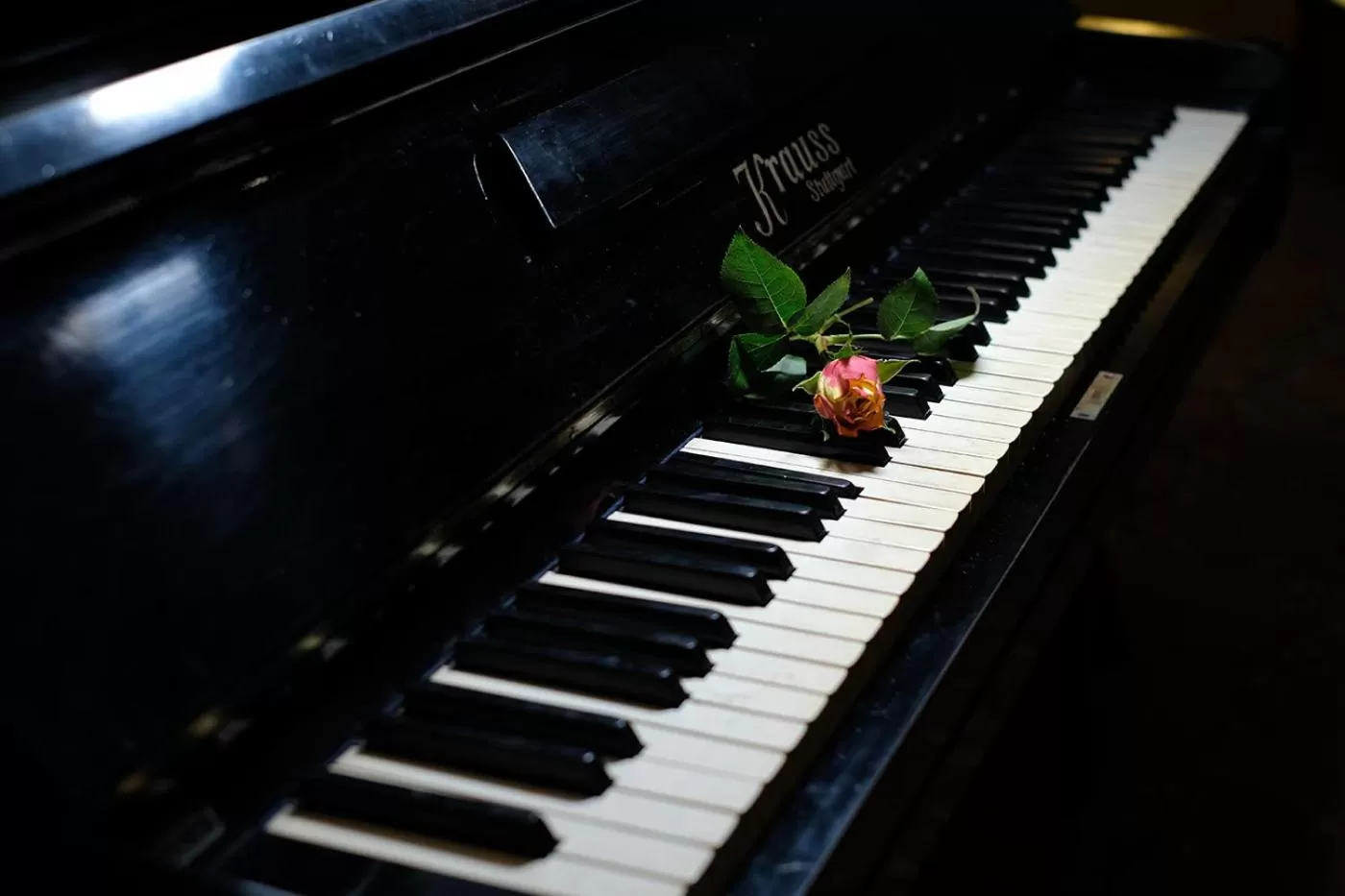 Lounge or bar in Hotel Orologio