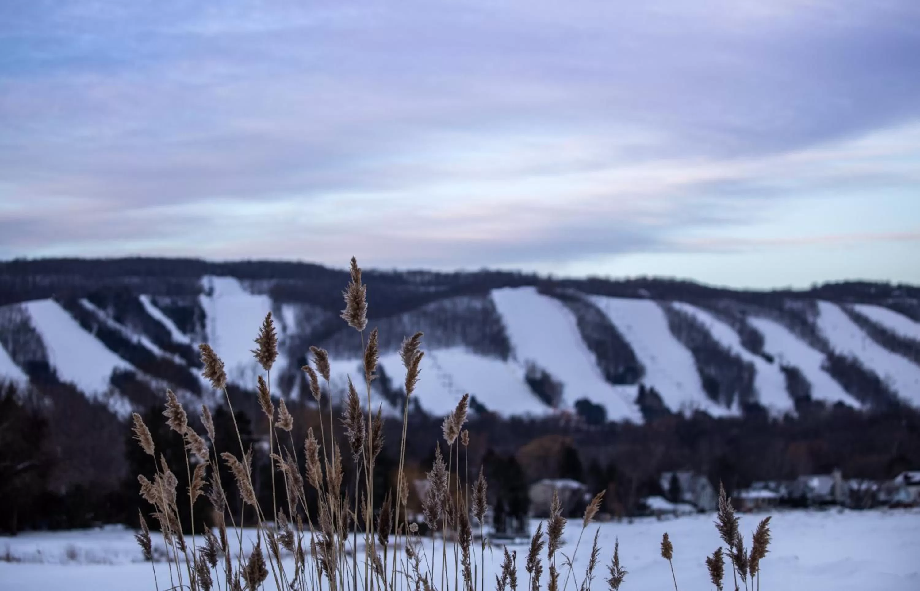 Property building in 2BR Boutique Suite #8