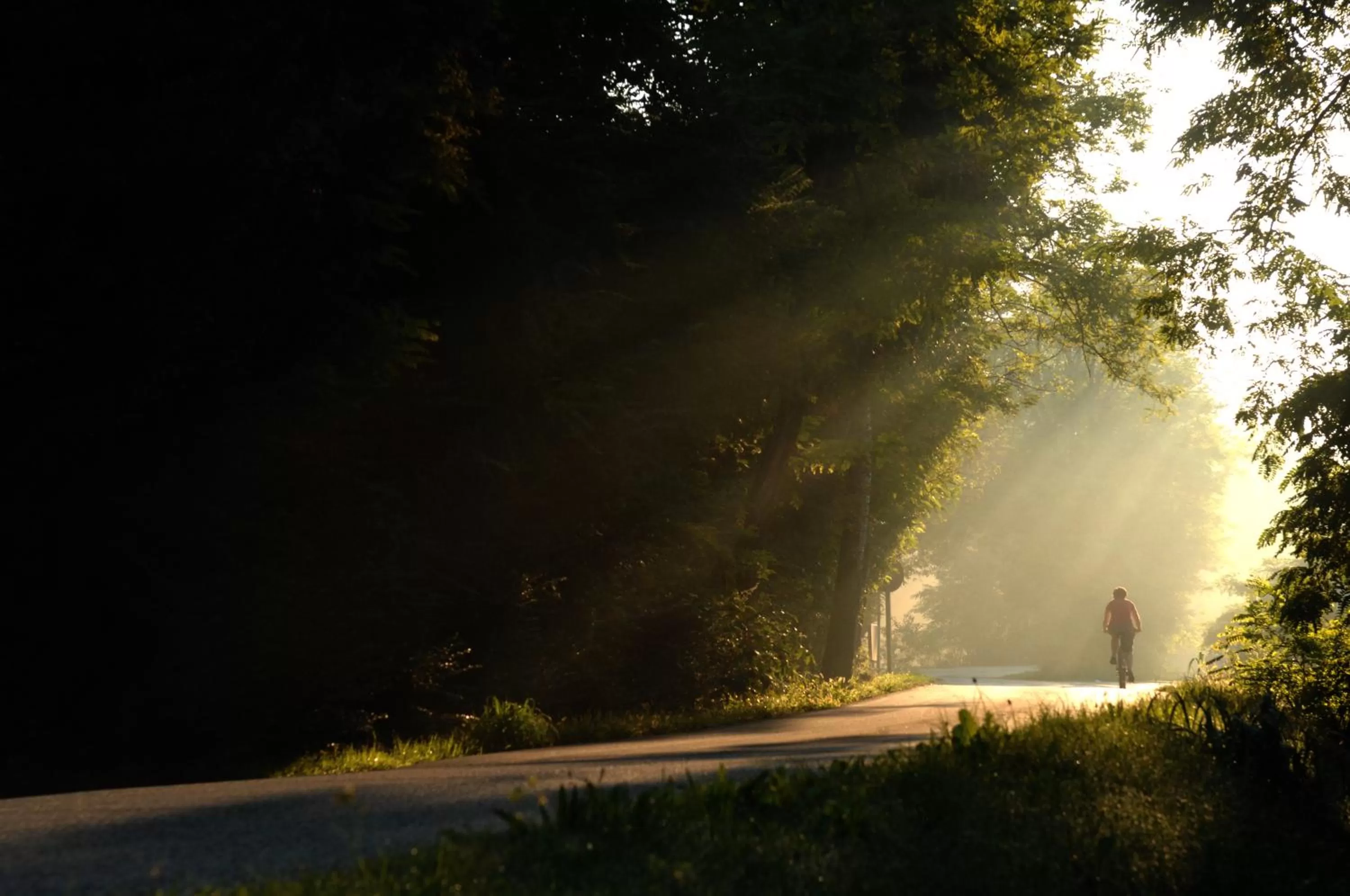 Cycling in Hotel Scaldaferro