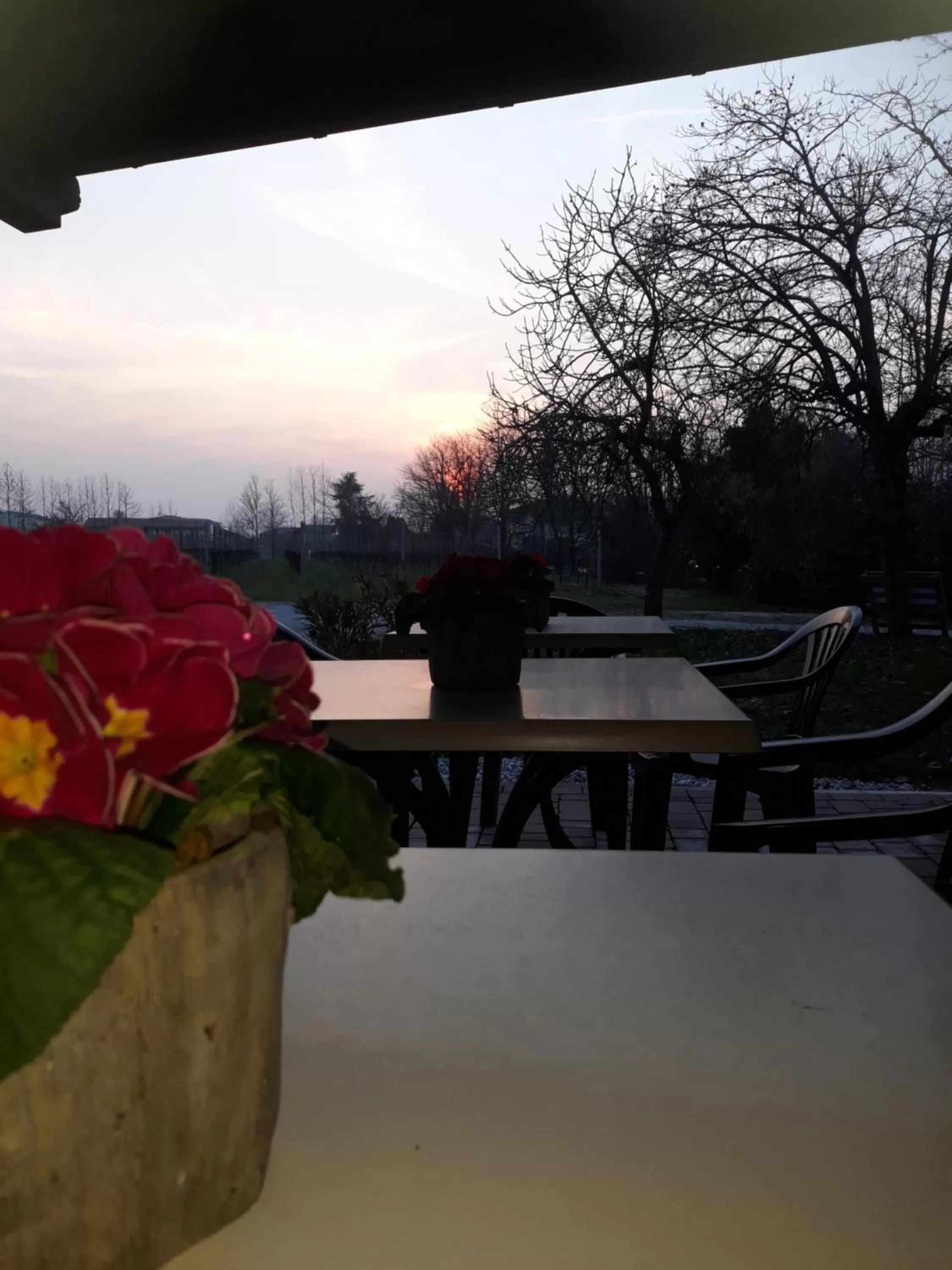 Balcony/Terrace in AGRITURISMO Barone Rosso