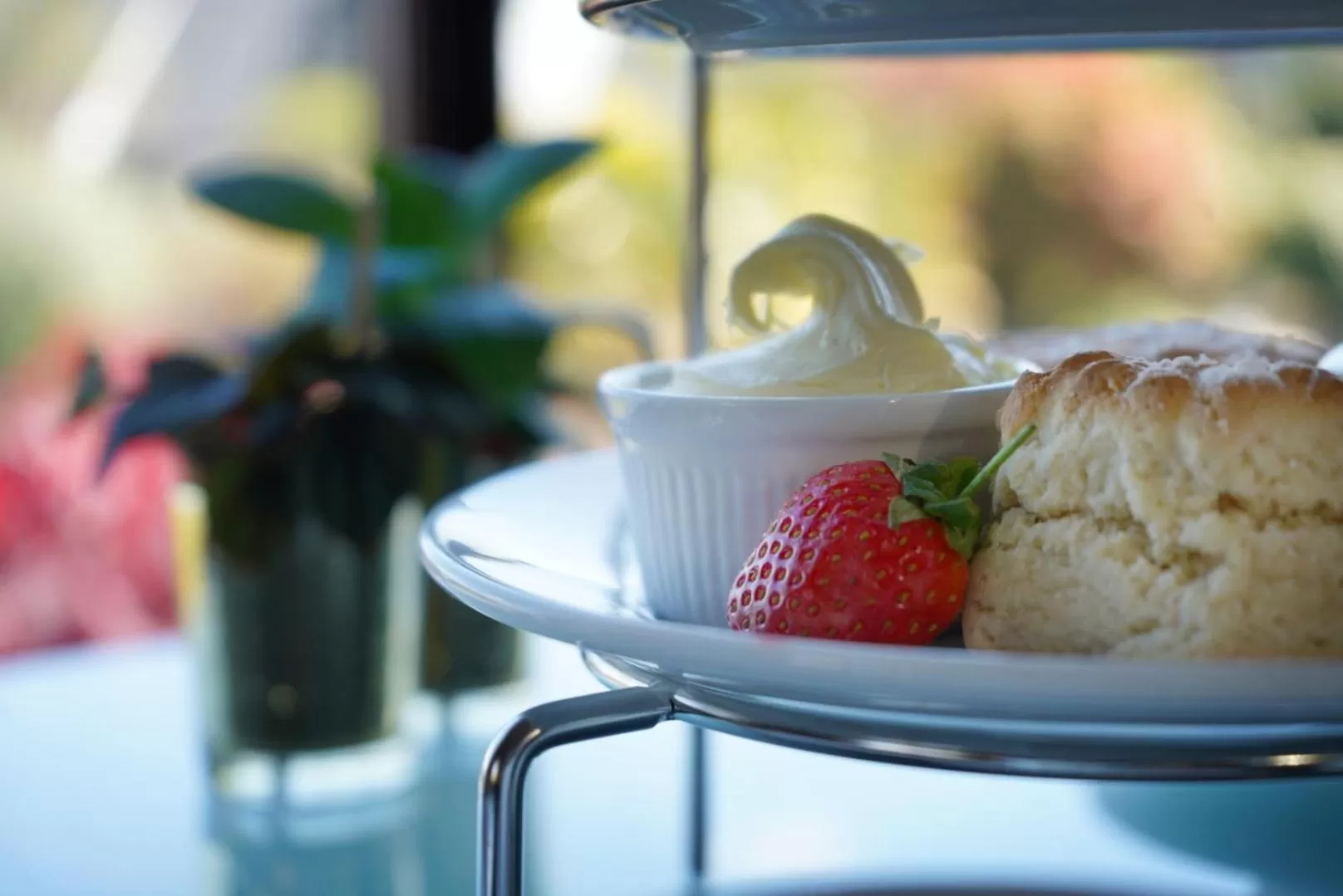 Food close-up in Hustyns Resort Cornwall