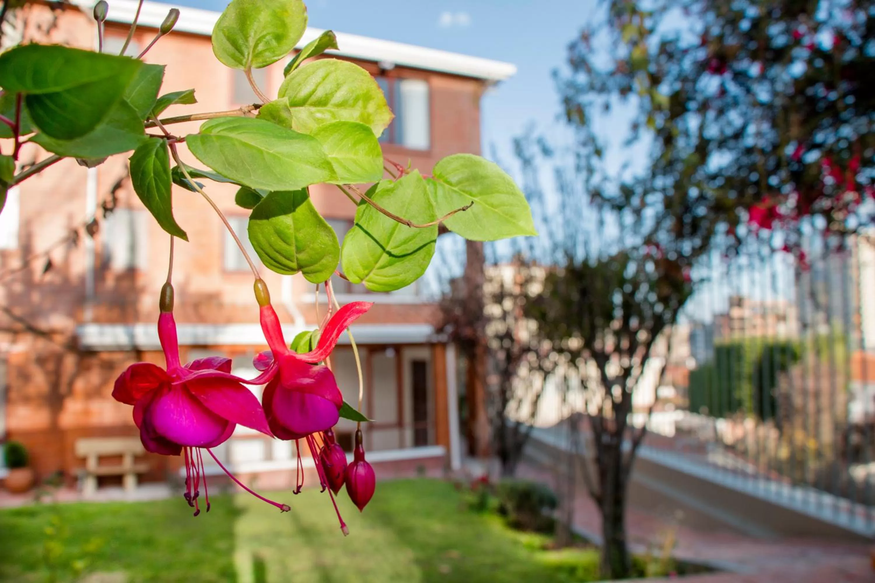 Natural landscape in Qhini Hotel Boutique