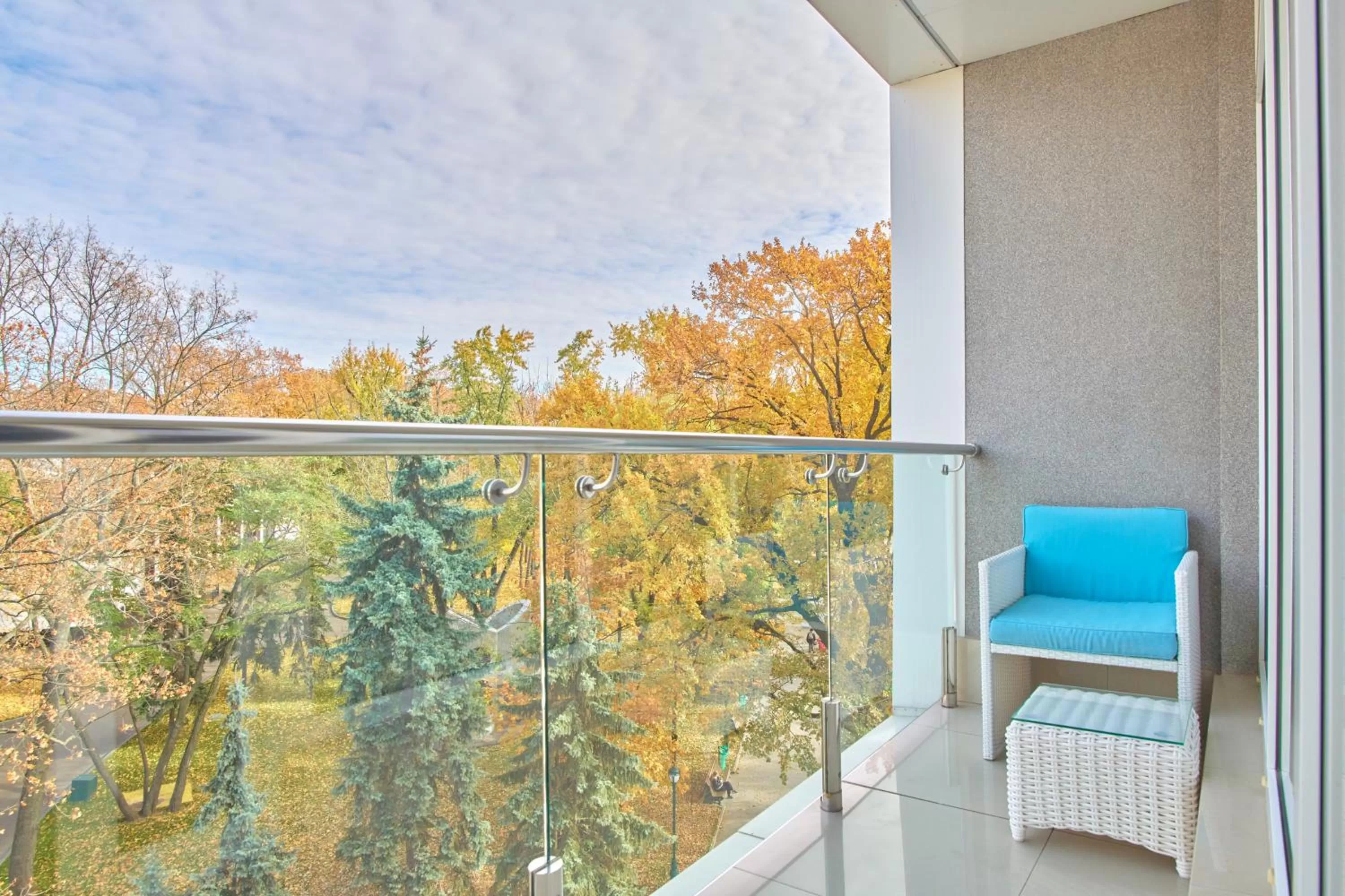 Balcony/Terrace in Hotel & Spa NEMO with dolphins