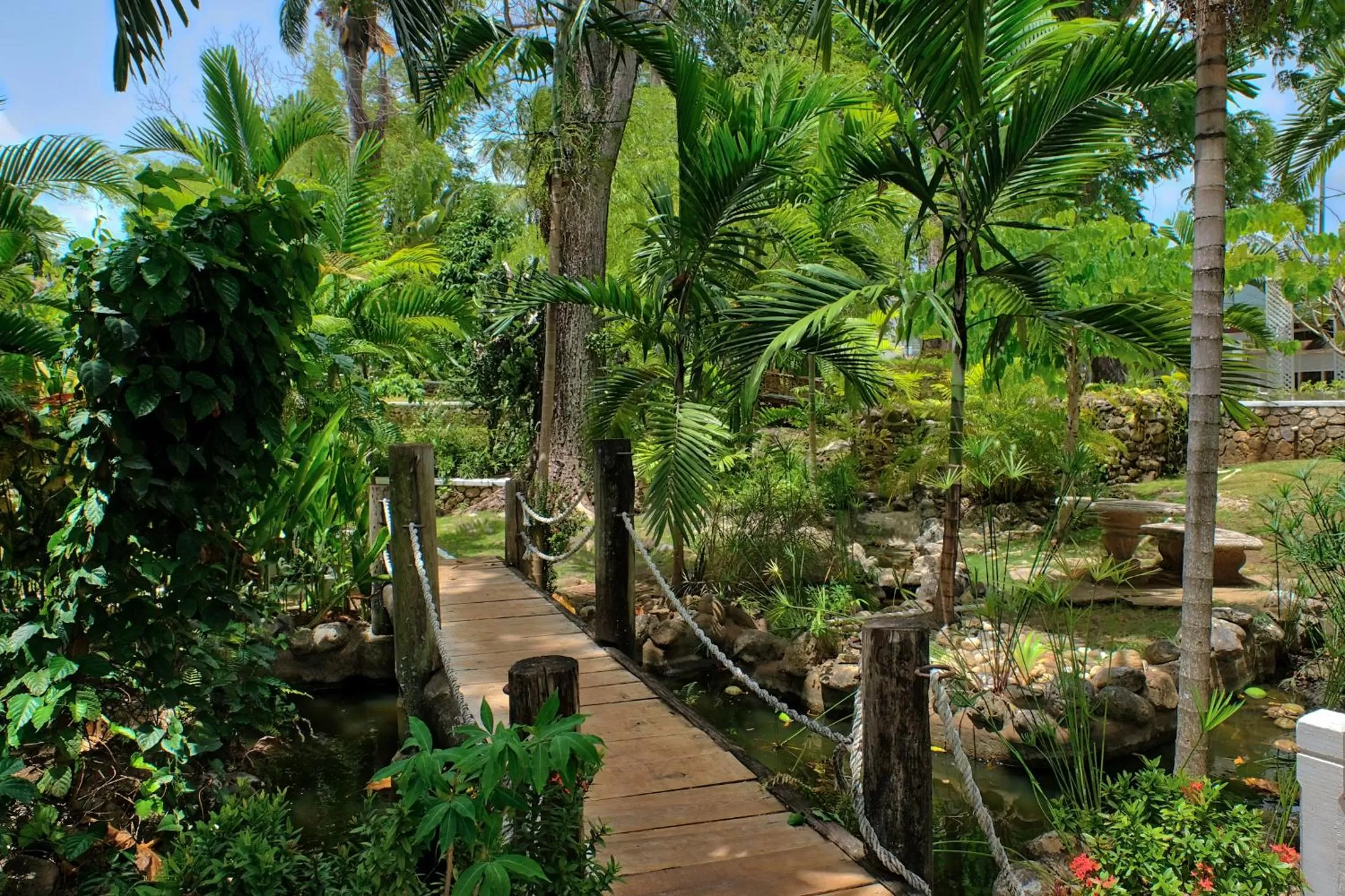 Garden in Hibiscus Lodge Hotel