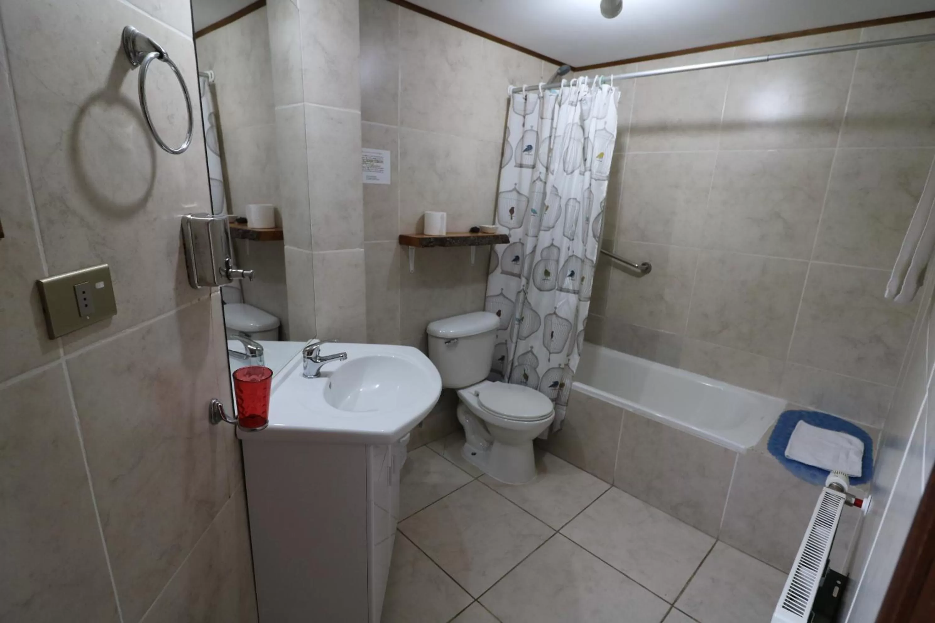 Bathroom in Santa Maria Pucon