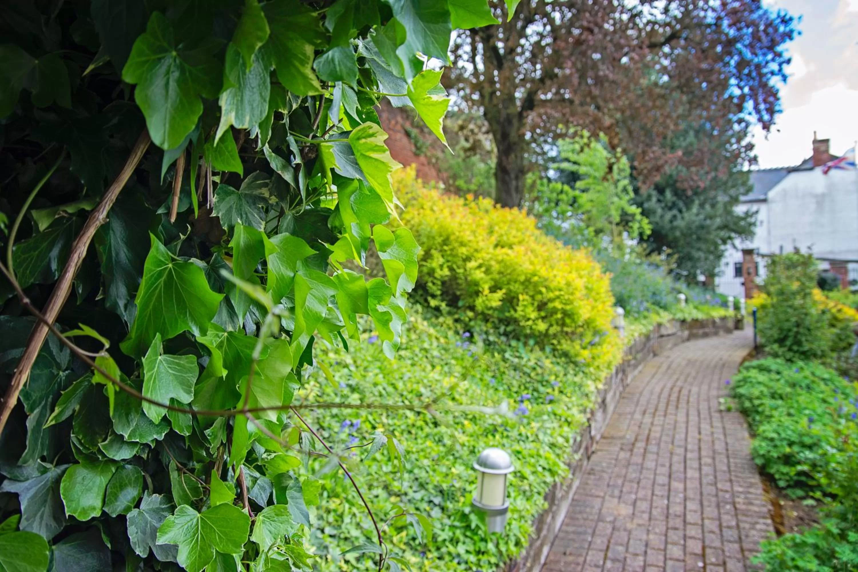 Day in Waveney House Hotel