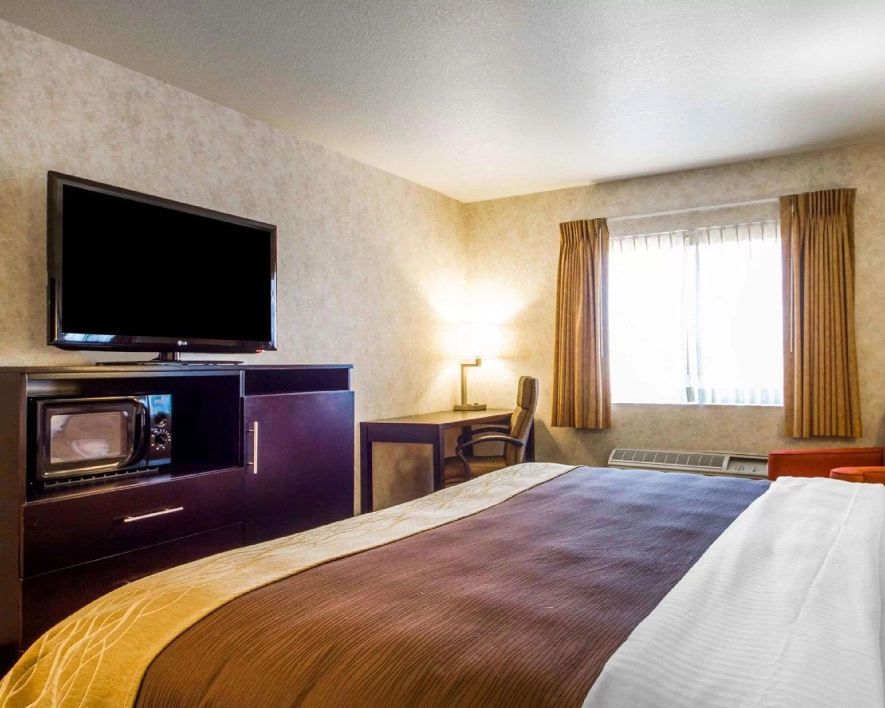 Photo of the whole room, Bed in Comfort Inn Watsonville