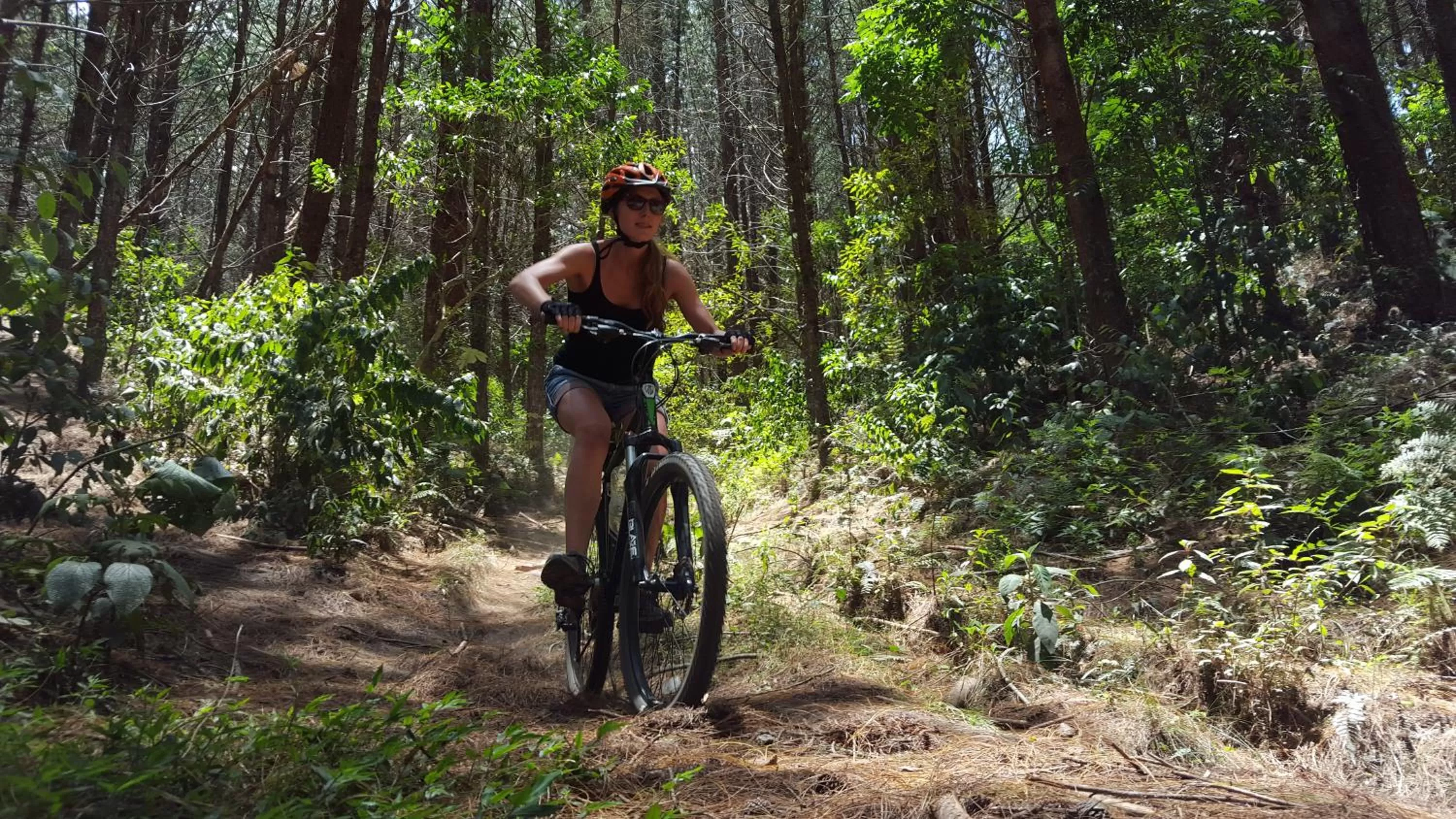 Cycling, Biking in Beta Hotel