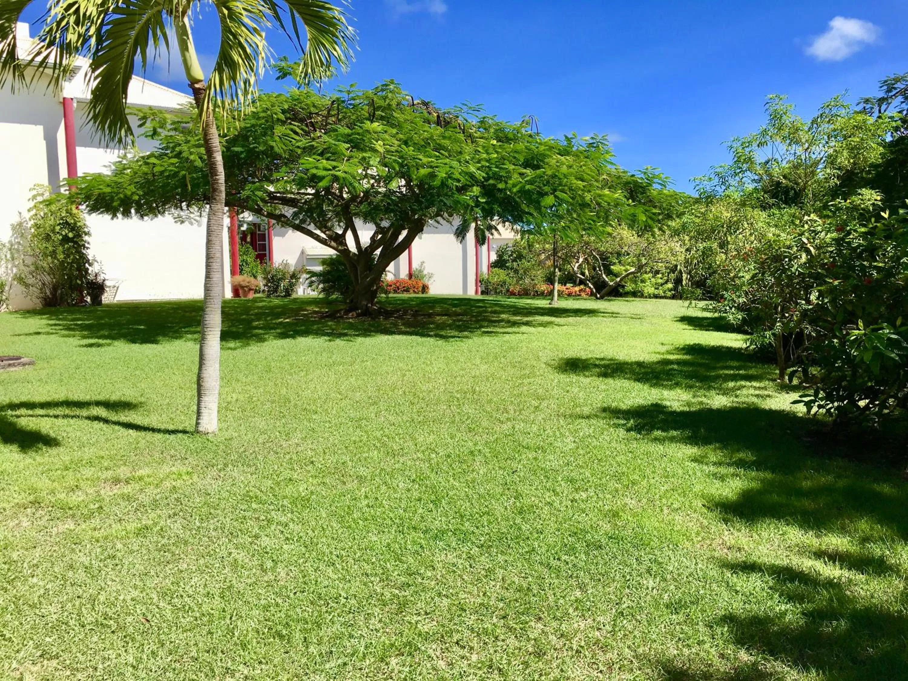 Garden in Résidence Le Vallon Guadeloupe Parc Piscine Appartements & Studios