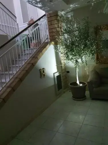 Il Casertano Il Casertano