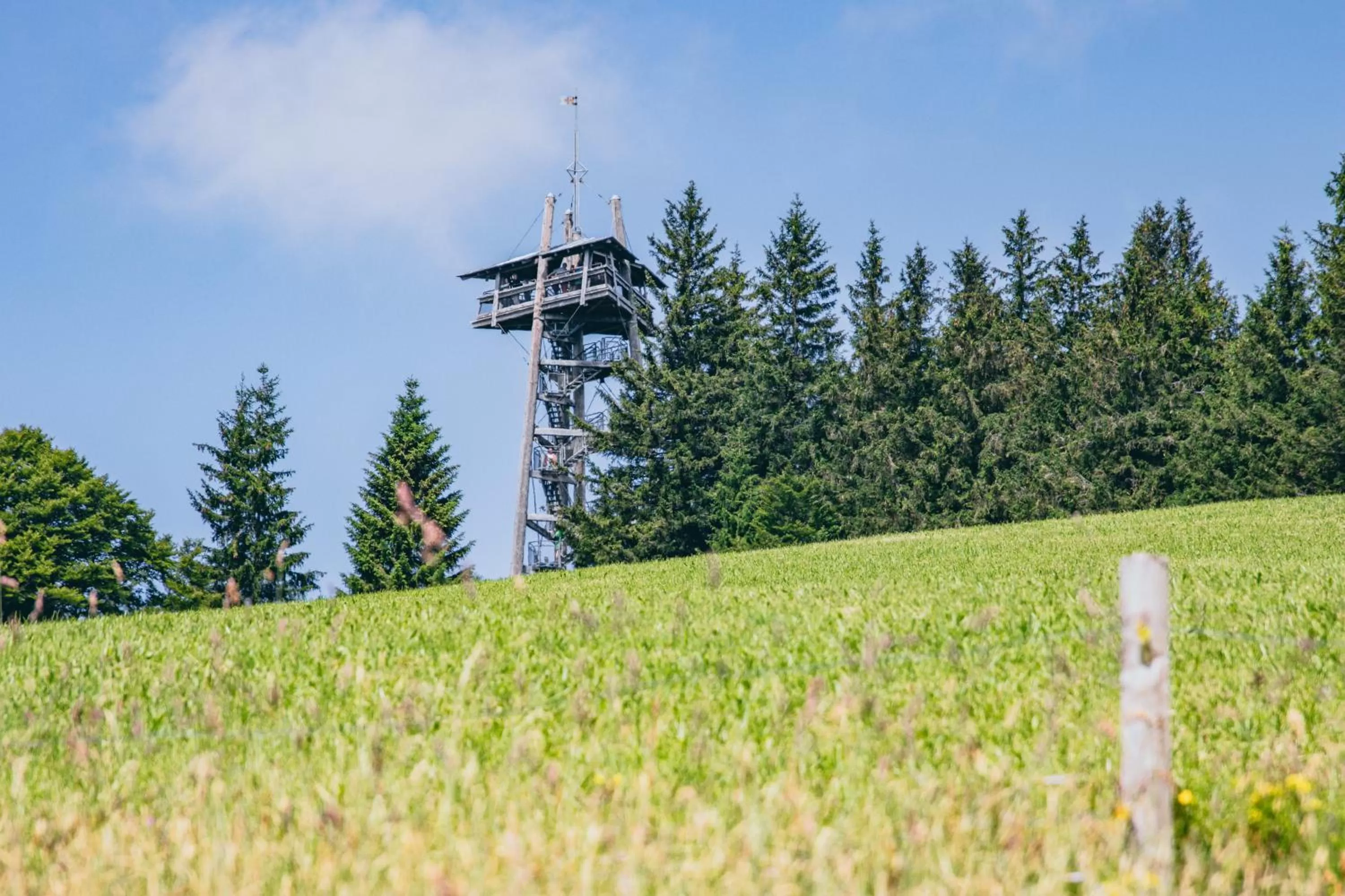 Activities in Dorint Thermenhotel Freiburg